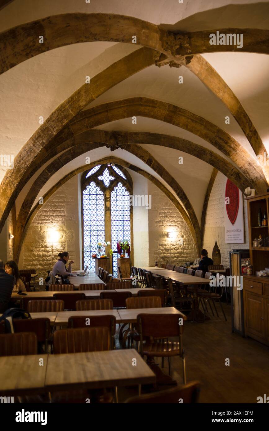 Soffitto a volta della Old Congregation House of the University Church a Oxford, in Inghilterra, caffetteria. Foto Stock