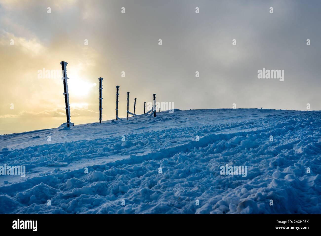 Pali di recinzione nella neve in inverno al tramonto, montagna Kopaonik, Serbia Foto Stock