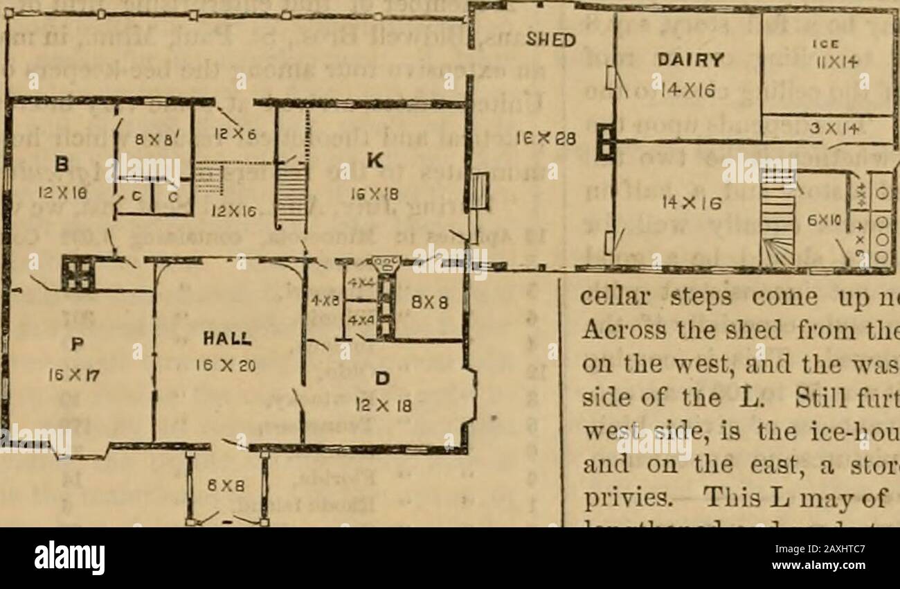 Agricolo americano, per l'azienda agricola, giardino e famiglia . y lavoro per una vita, e gloria in it.They sono la classe media sostanziale, con goodincome, libero, indipendente, ospitale, uprogent, e coltivato. Sono l'aristocratico gentry della nostra terra, educata, raffinata, prac-tica, sensibile; Avendo la fiducia di neigh-bors, cittadini, e concittadini, essi arei senatori, rappresentanti, e Governors. La casa e la casa del contadino deve là-prima mietitrebbia in sé caratteristiche verricello sono nee-viscosità per l'uomo che lavora, le comodità e gli alloggi per il bene-a-do yeo Foto Stock