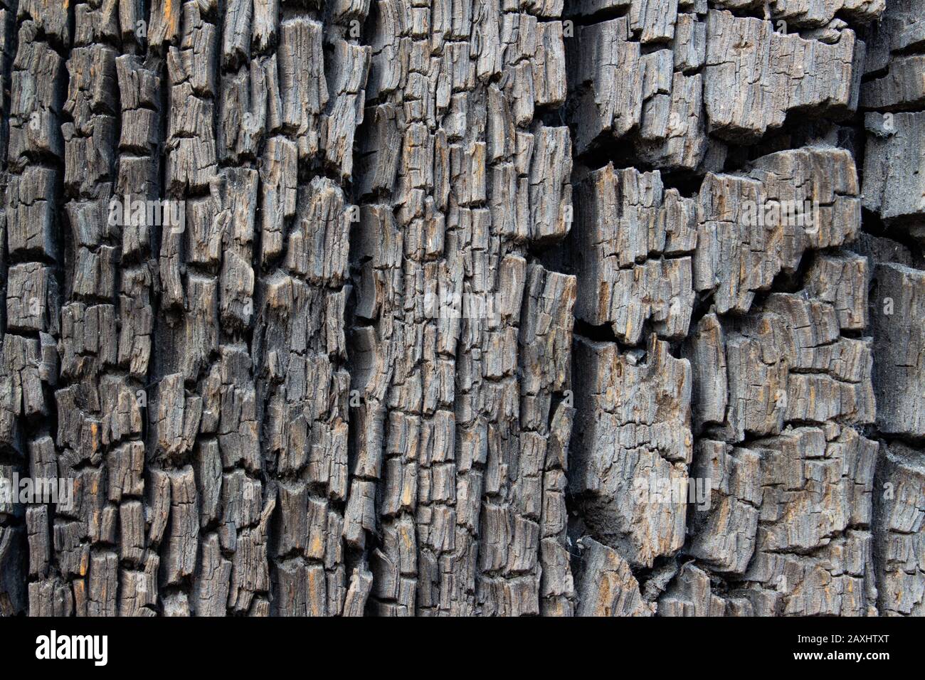 Primo piano di vecchia tessitura di legno incrinato antico, può essere usato come sfondo o sfondo Foto Stock