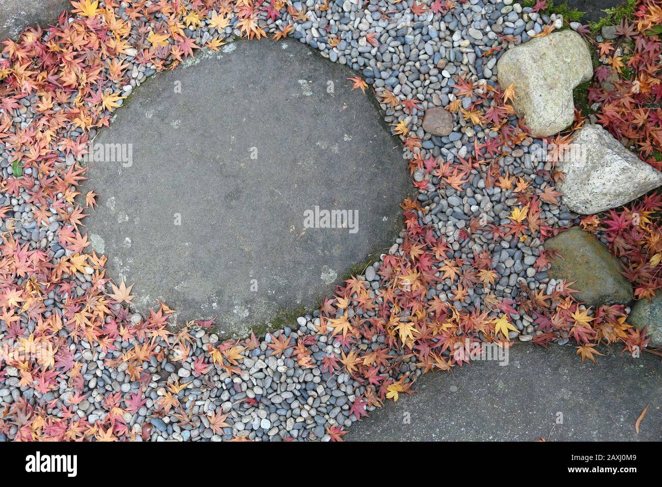 In Giappone le foglie di autunno - rosso foglie di acero sul sentiero in Yoshikien Garden, Nara. Foto Stock