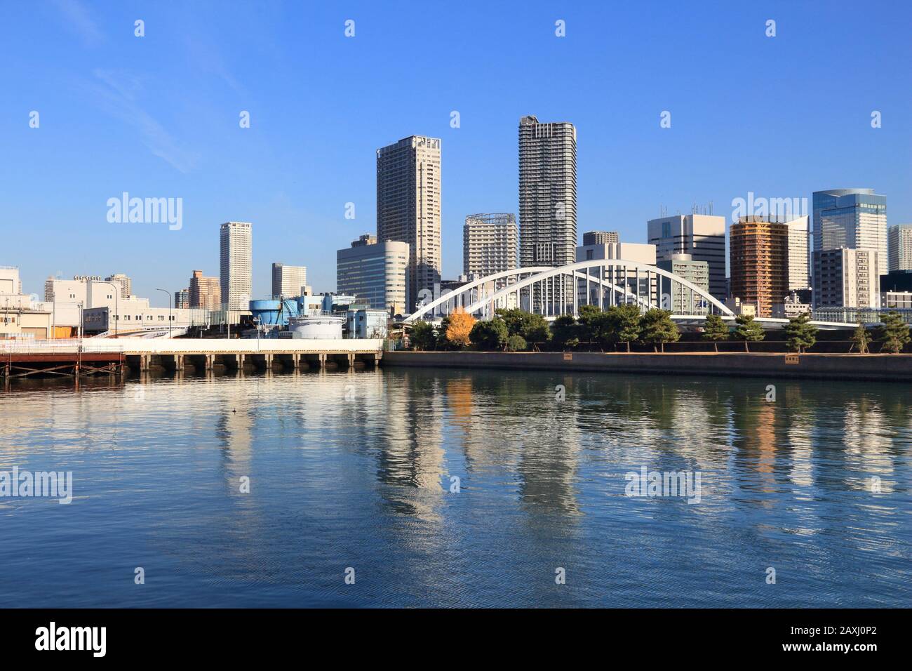 Tokyo skyline della città - moderni quartieri residenziali con alti edifici di appartamenti a Kachidoki. Foto Stock