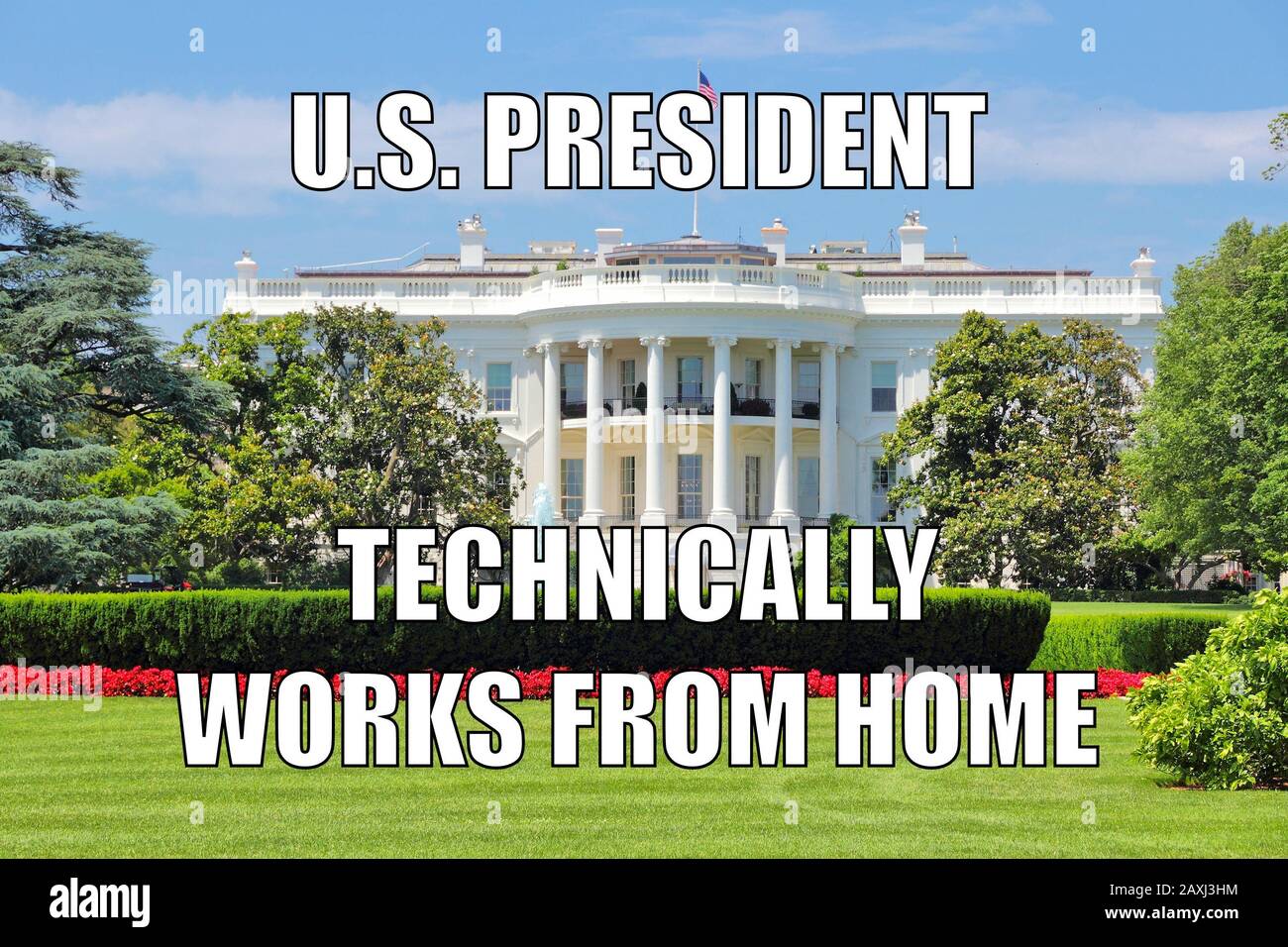 America divertente meme per la condivisione dei social media. Lavorare da casa. Sede del Presidente degli Stati Uniti. Foto Stock
