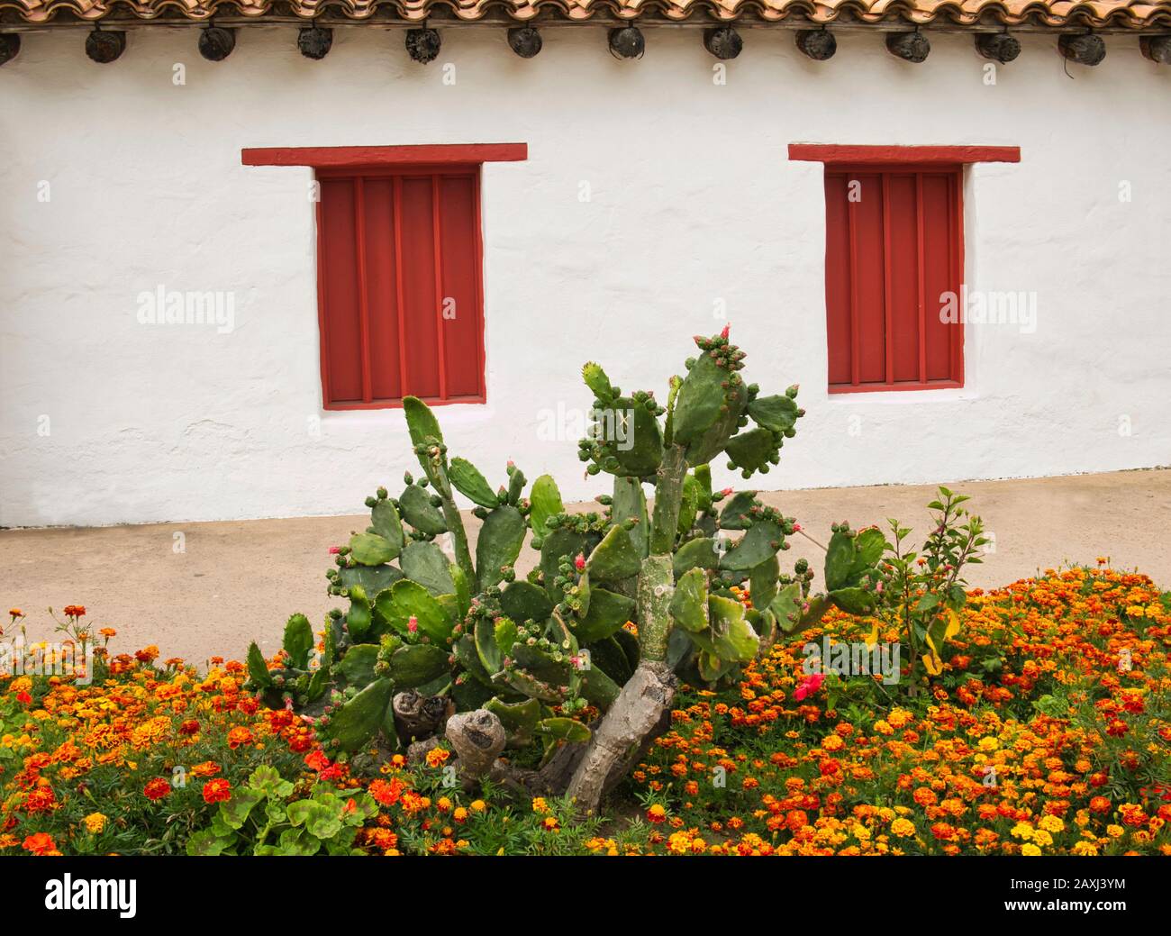 Un cactus e fiori colorati di fronte ad una piccola casa con finestre rosse Foto Stock