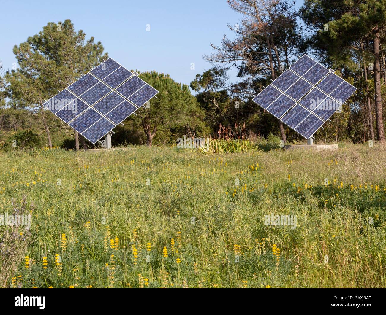 Pannello solare in posizione rurale di campo in campagna che fornisce energia domestica vicino villaggio di Virgil, Algarve distretto, Portogallo Foto Stock