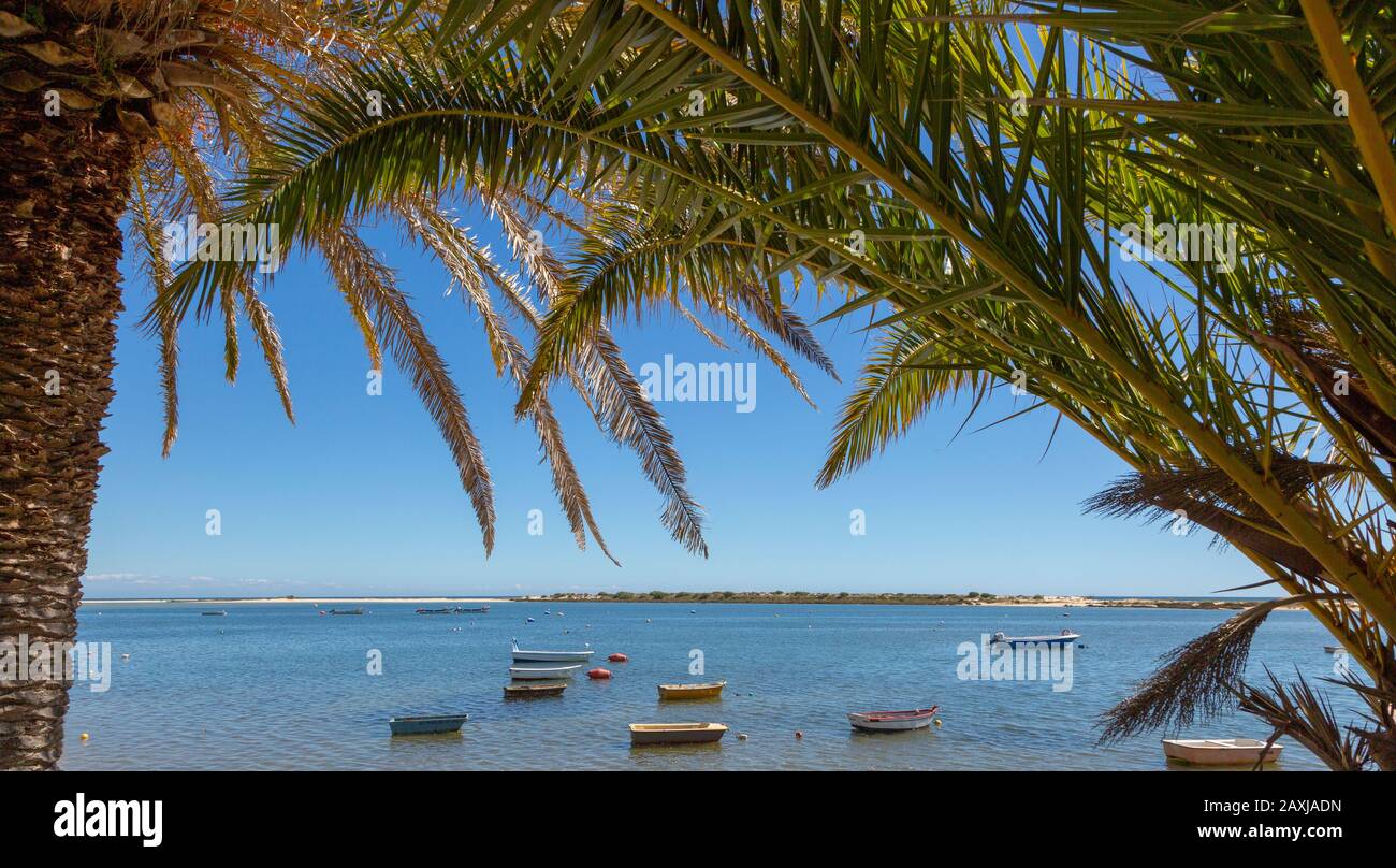 Barche in laguna dietro sandbar offshore, incorniciato da palme, Vila Nova de Cacela, Algarve, Portogallo, Europa meridionale - Parco Naturale Ria Formosa Foto Stock