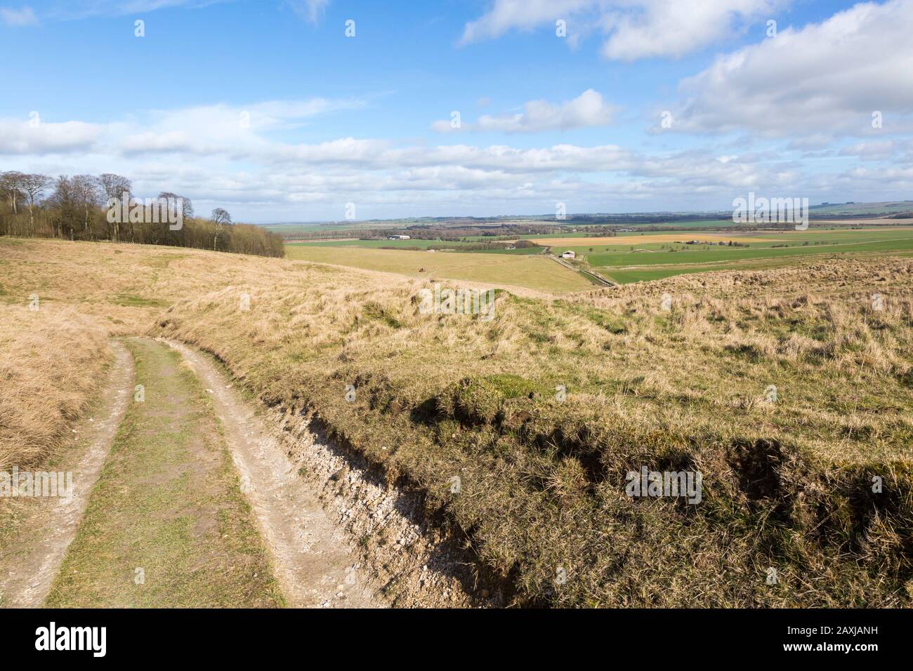Ondulata campagna altopiano paesaggio gesso in inverno zona downland di North Wessex Downs, vicino a Cherhill, Wiltshire, Inghilterra, Regno Unito Foto Stock
