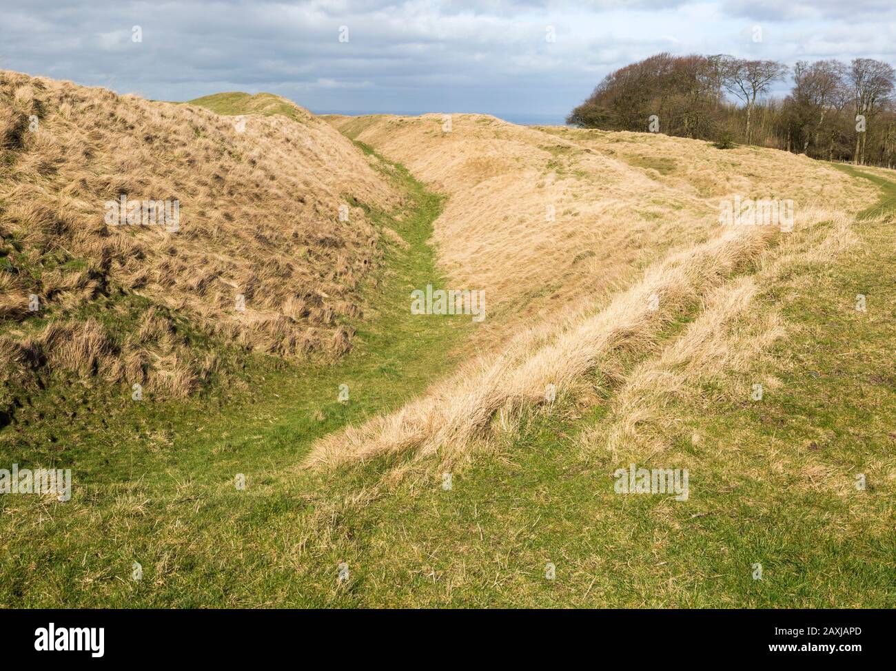 Fossati e bastioni di Oldbury Castle e Iron Age Hill Fort in un'area calk downland di North Wessex Downs, vicino Cherhill, Wiltshire, Inghilterra, Regno Unito Foto Stock