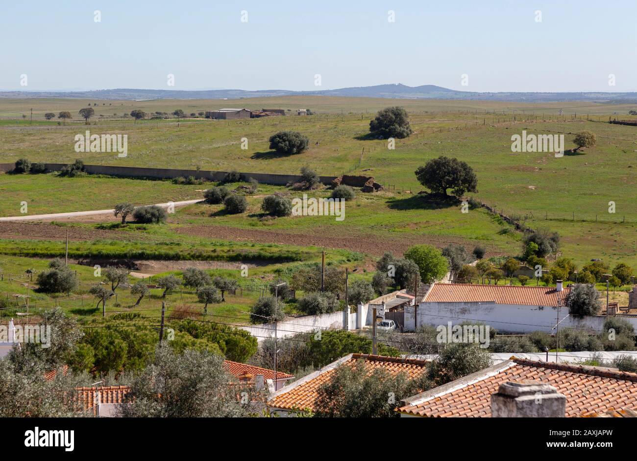 Campagna ondulata campi erbosi paesaggio agricolo dal villaggio di Castro Verde, Baixo Alentejo, Portogallo, Europa meridionale Foto Stock
