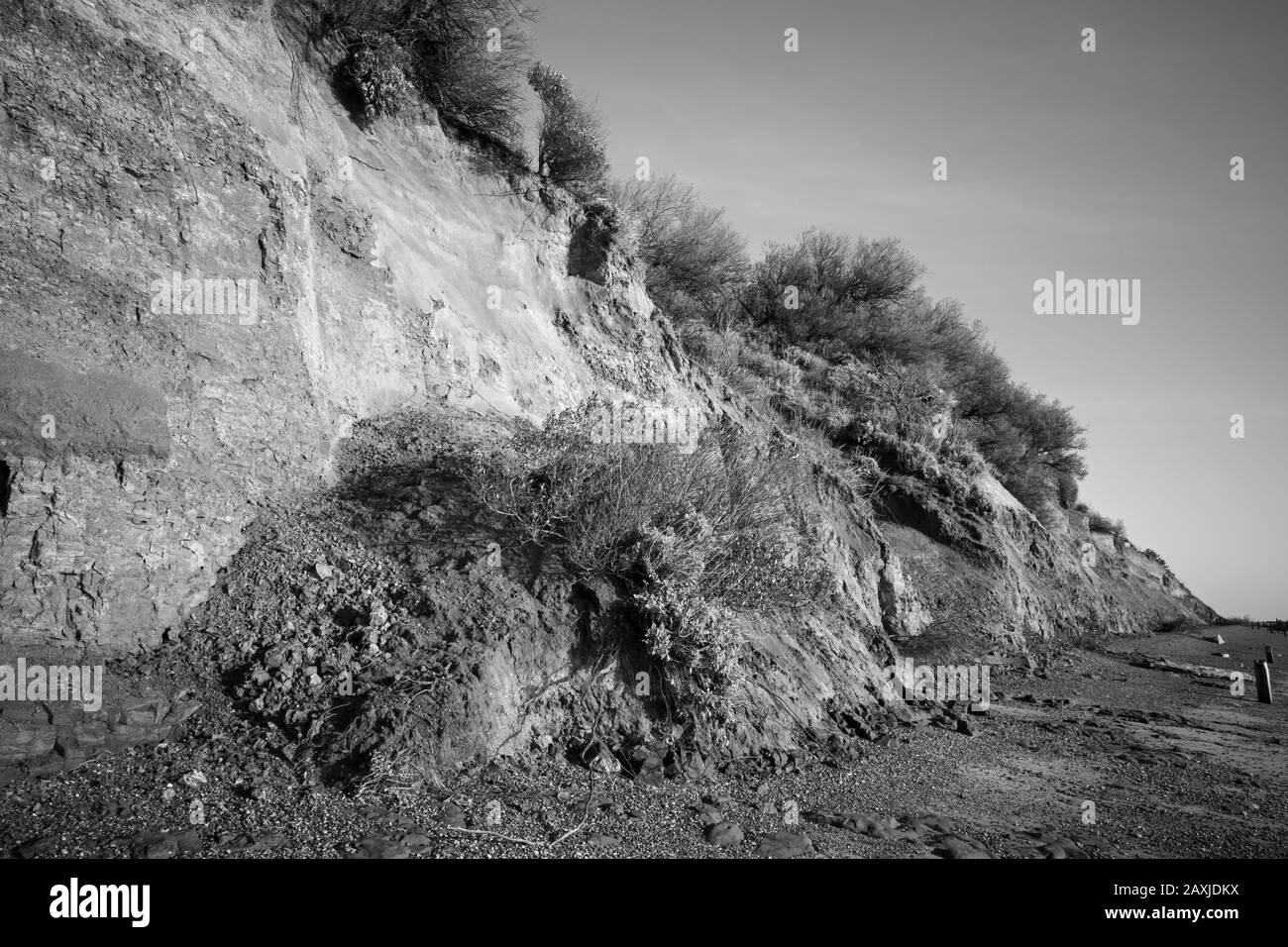 Effetti di erosione costiera, Bawdsey traghetto, Suffolk, Regno Unito. Foto Stock