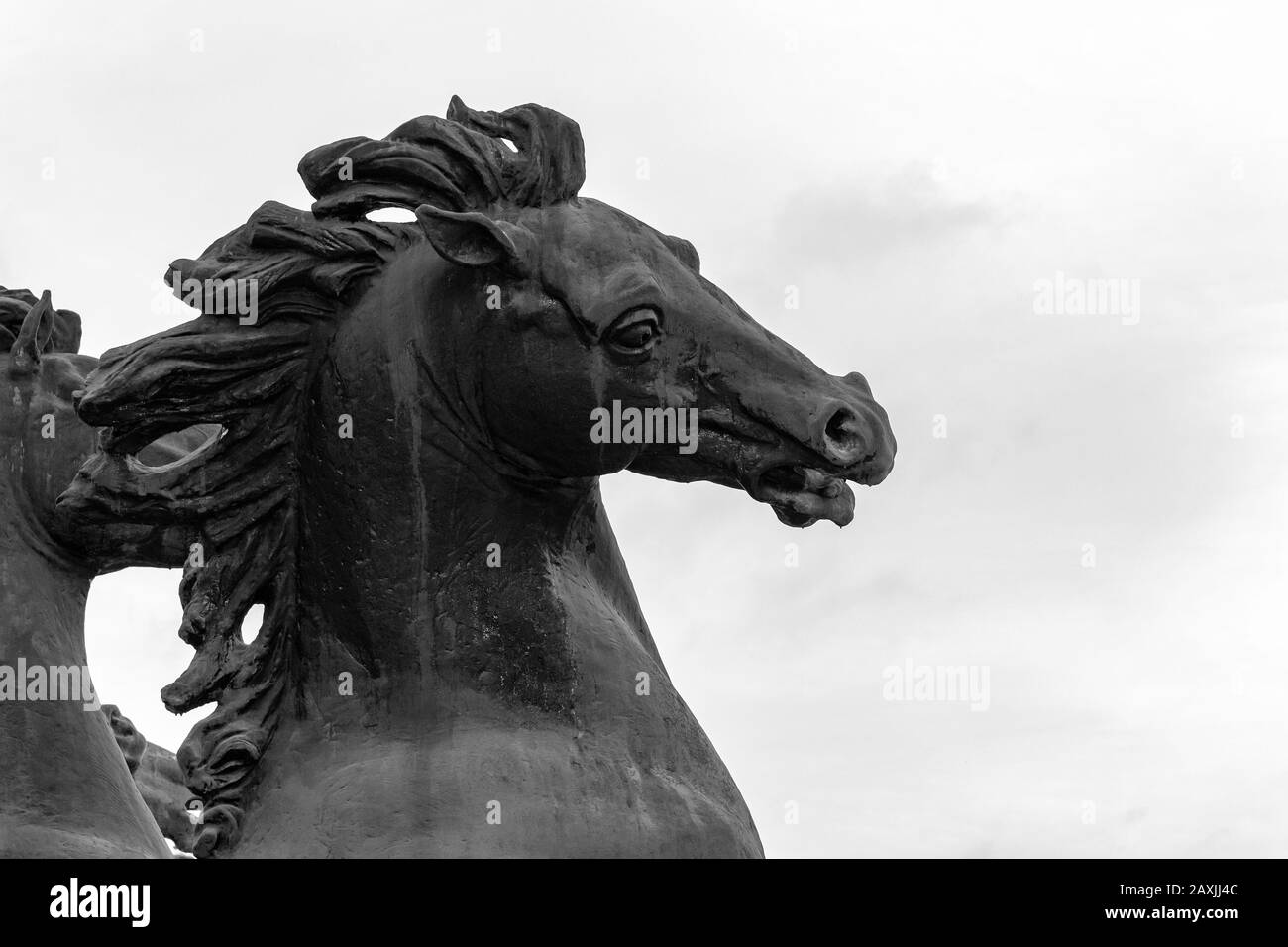 Testa di cavallo nera su sfondo bianco. Scultura in bronzo di un animale primo piano, testa scultorea di un cavallo mante muso occhi narici orecchie. Foto Stock