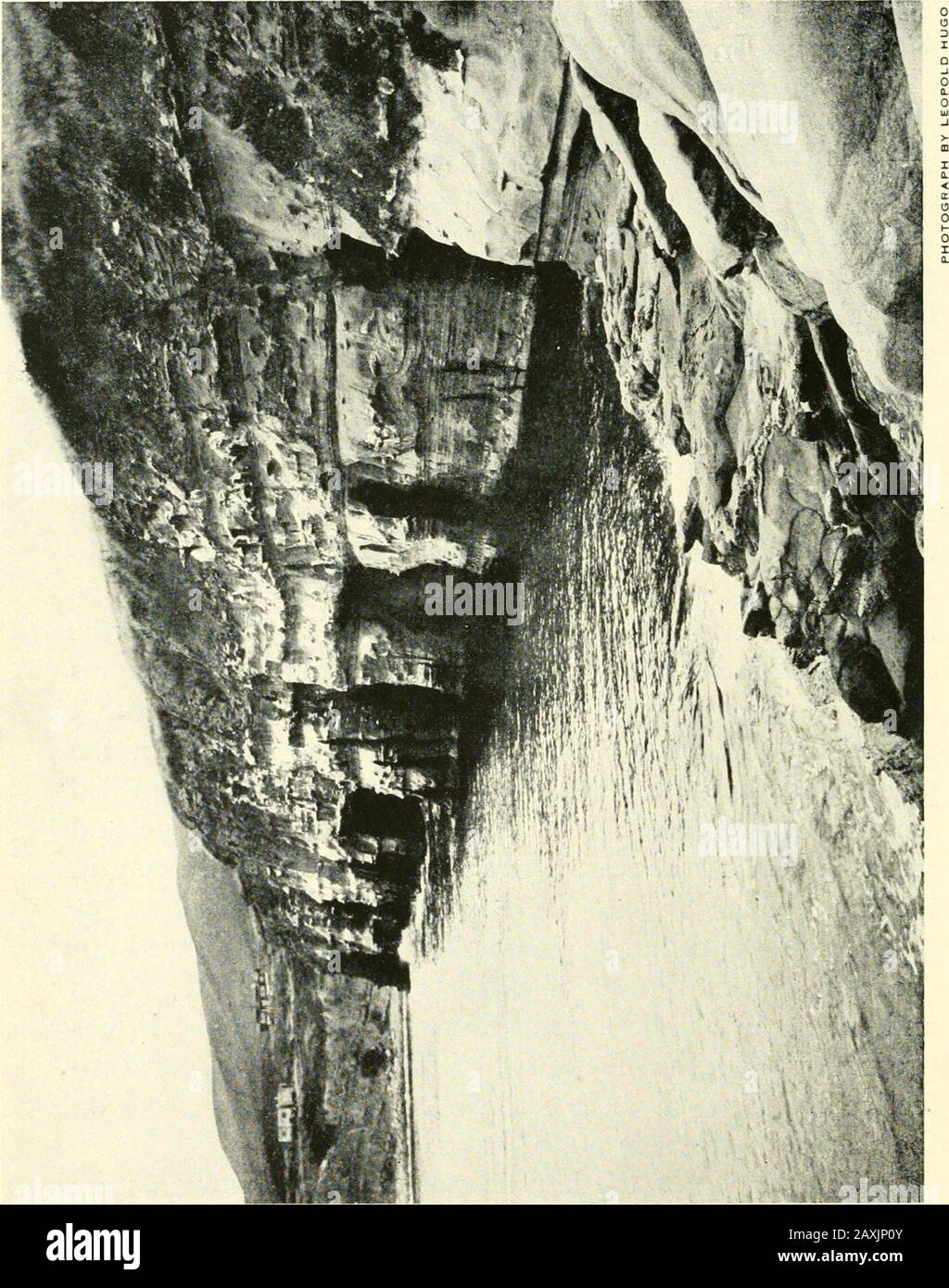Brooklyn Museum Quarterly . probabile si riferisce alle numerose piscine di marea e alle grotte alla base delle alte scogliere di arenaria. L'ingresso e l'interno dei thecaves sono stati scolpiti in fantastici archi e colonne dalla incessante azione del mare. Le pareti coperte di agrowth delle piante microscopiche sono un rosa brillante. Nel gloom di recessi più profondi sono piscine con ammassi di anemoni beifulsea-che mostrano delicate sfumature di eliotropo e crema invece del viola e verde del loro genere vivendo nella baia. Sopra le grotte, saldamente incollate alle rocce, sono orde dei nidi rotondi Foto Stock