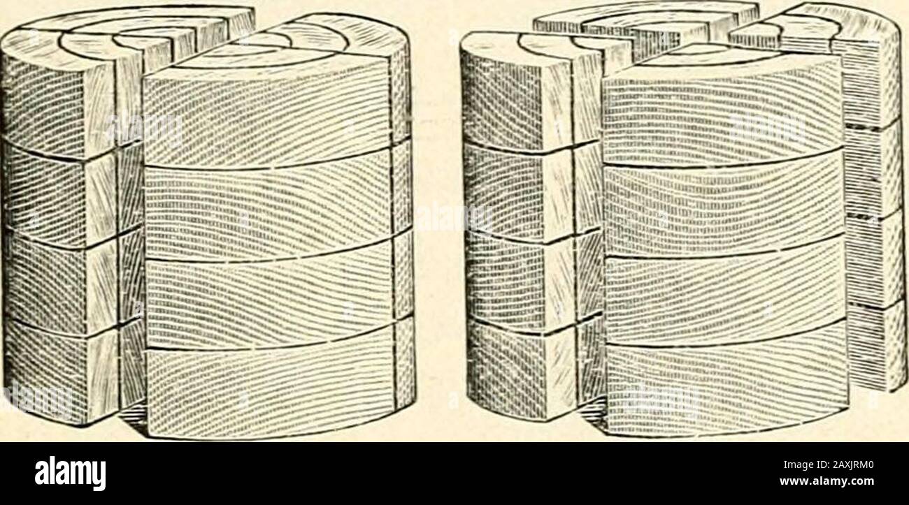 I regali di costruzione dell'asilo . N. 55. Mostrando Giftas Curvilinei un intero. GIET CURVILINEO. 201 devono avere cerchi concentrici affinché, con la rappresentazione delle linee e delle superfici circolari e delle theirparts, il bambino possa familiarizzarsi con loro e con la loro relazione con il tutto; ma queste metà e i cerchi quar-ter devono essere derivati logicamente, non spingere verso l'alto il bambino. Non solo si deve vedere che la forma evolva, ogni nuova esperienza del bambino deve essere radicata in alcune esperienze passate, se l'esperienza deve essere fondamentalmente educativa. È vero che tu... N. 56. Mostra il regalo CurvUinear d Foto Stock