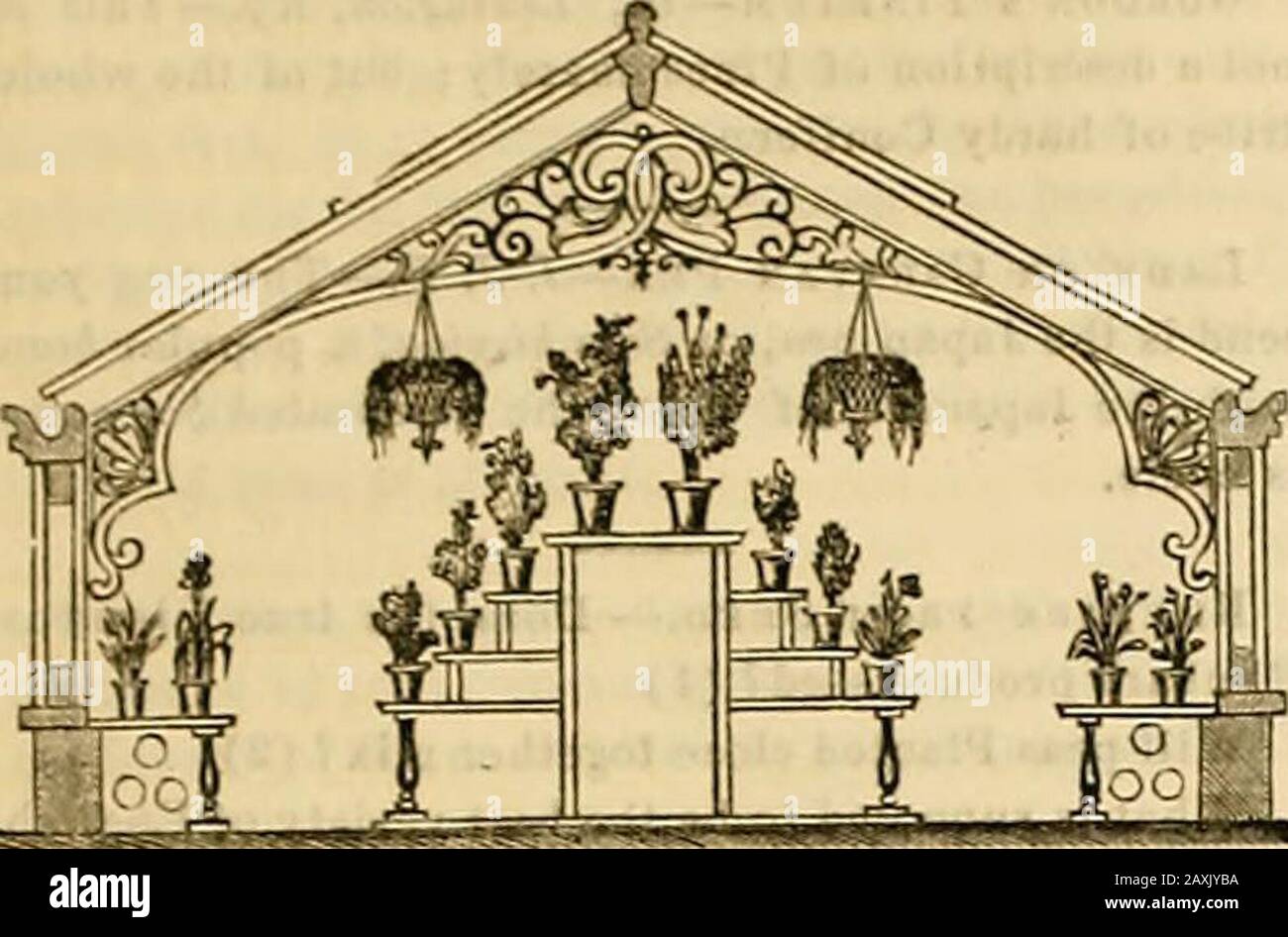 Inserzionista mensile ed orticolo del Giardiniere . HANDSONIC GREBNHOnSES. L'anncxud cul è preso Ir.dii llie Catalog of Messrs. Weeks & Co., Uie oclobutcd Inglese costruttori di Hot-house. ^Ve iiilr«idurlo qui per dare ad alcuni dei nostri riadersan idea quanto questi affari spesso molto comuni di placelooking possono essere fatti per guardare dall'exerciseof un po'ingenuità e gusto. ALBERI DI POTATURA A TRAPIANTARE. Nei periodici francesi e tedeschi si sta proseguendo una discussione animata sulla correttezza della pratica. Pochissimi dei contestanti fanno appello ai fatti, ma ai principi del Physiolo vegetale Foto Stock