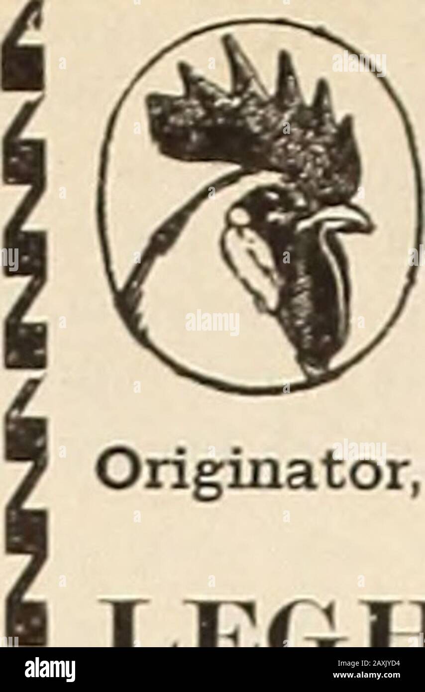 Il Farm-pollame . re mostrato per la prima volta a Hartford, Conn., in1872, sono stati visti occasionalmente negli showsda allora, e allevatori di loro hanno atvarious volte ajiplied unsuccessfully per l'ammissione della razza all'AmericanStandard. L'ultima applicazione della kindè stata fatta a Boston in 1898. Ho visto un fewsi)ecimens in mostra lì, ma hanno seennone mostrato ovunque da allora. La razza ha detto di essere stato fatto incrociando il gioco di Spangled con i Brahmas di luce e Cochins di While. G. P. R., Governors Rtin, m.- Theonly breeder of Bourbon Red Turkeys whoseaddress 1 Know is E. E. Page,of E. Cleve Foto Stock