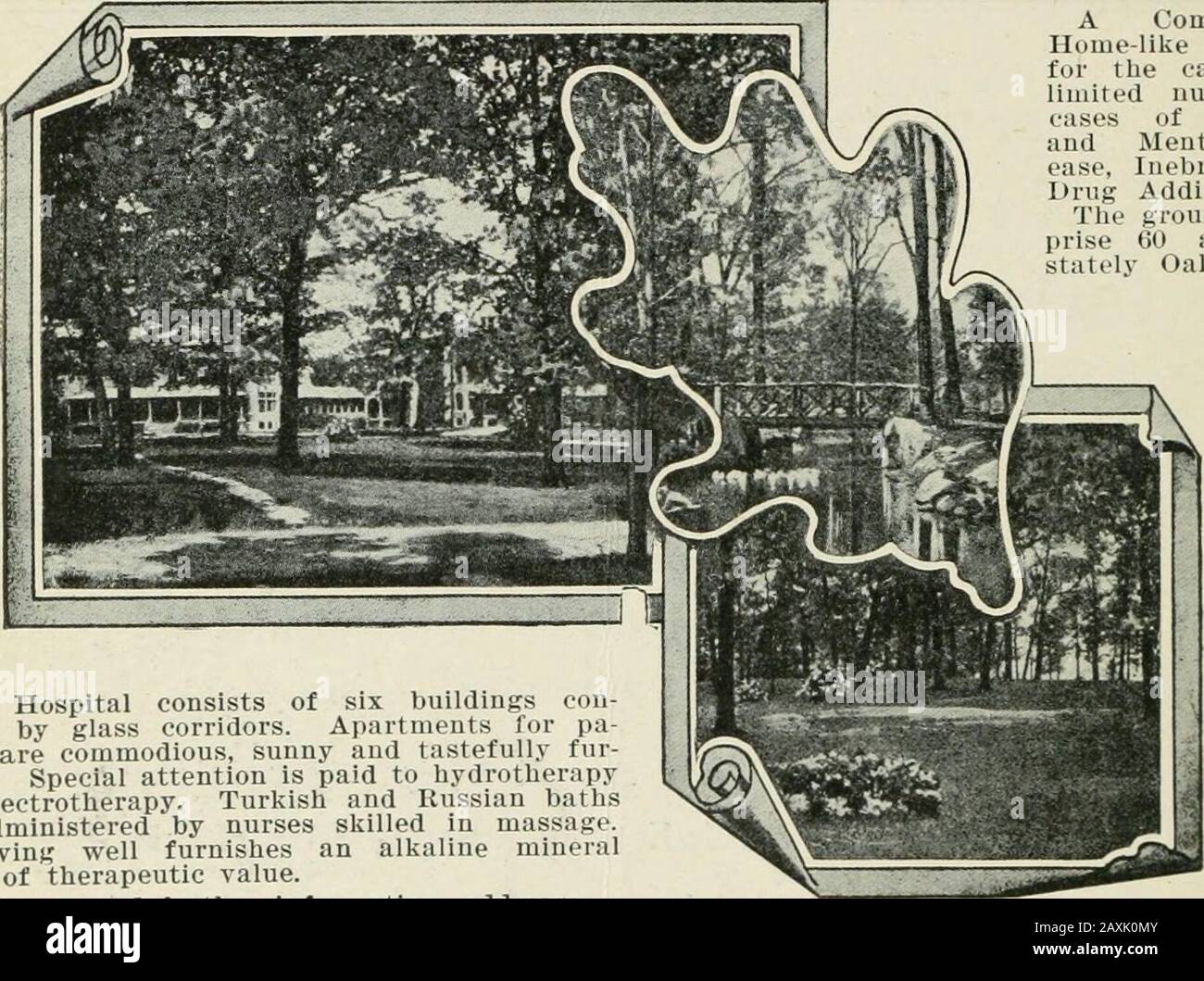 The Journal of nervosismo and mentale disease . Oak GROVE UN Confortevole, casa-come Hospitalfor la cura di alimited numero di oasi di Nervousand mentale Dis-facilità, Inebriety andDrug Addiction. Il terreno com-pry 60 acri di maestosa Oaks. L'ospedale è composto da sei edifici con corridoi in vetro. Gli appartamenti per pa-tients sono confortevoli, soleggiati e finemente laccati. Particolare attenzione viene prestata all'idroterapia e all'elettroterapia. I bagni turchi e russi sono somministrati da infermieri specializzati nel massaggio. UN pozzo che scorre fornisce un'acqua mineralica alcalina di valore terapeutico. Per i termini e di furt Foto Stock