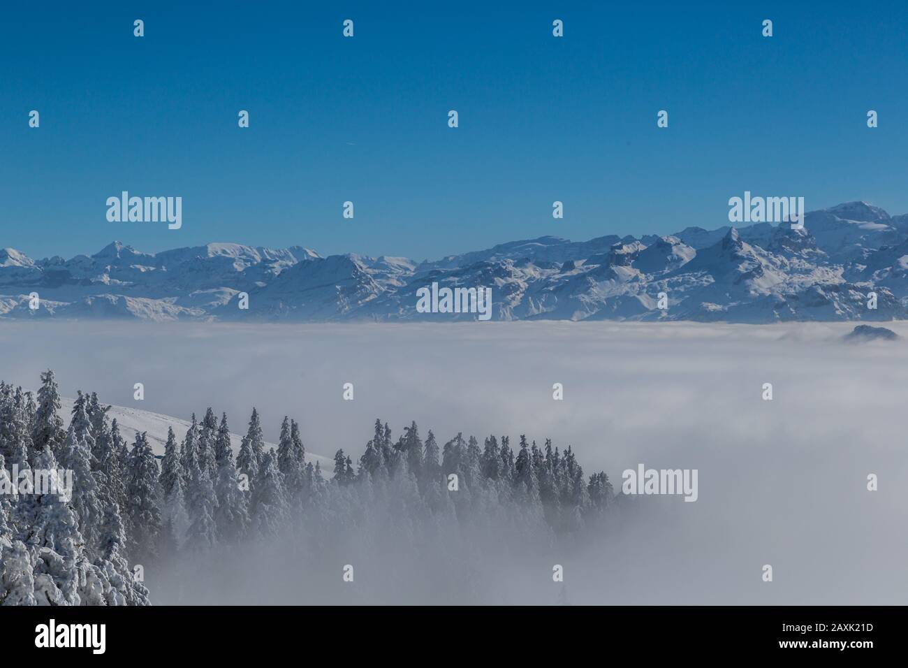 Vista sulle alpi svizzere dal monte Rigi in inverno durante l'alta inversione nebbia, cielo blu Foto Stock