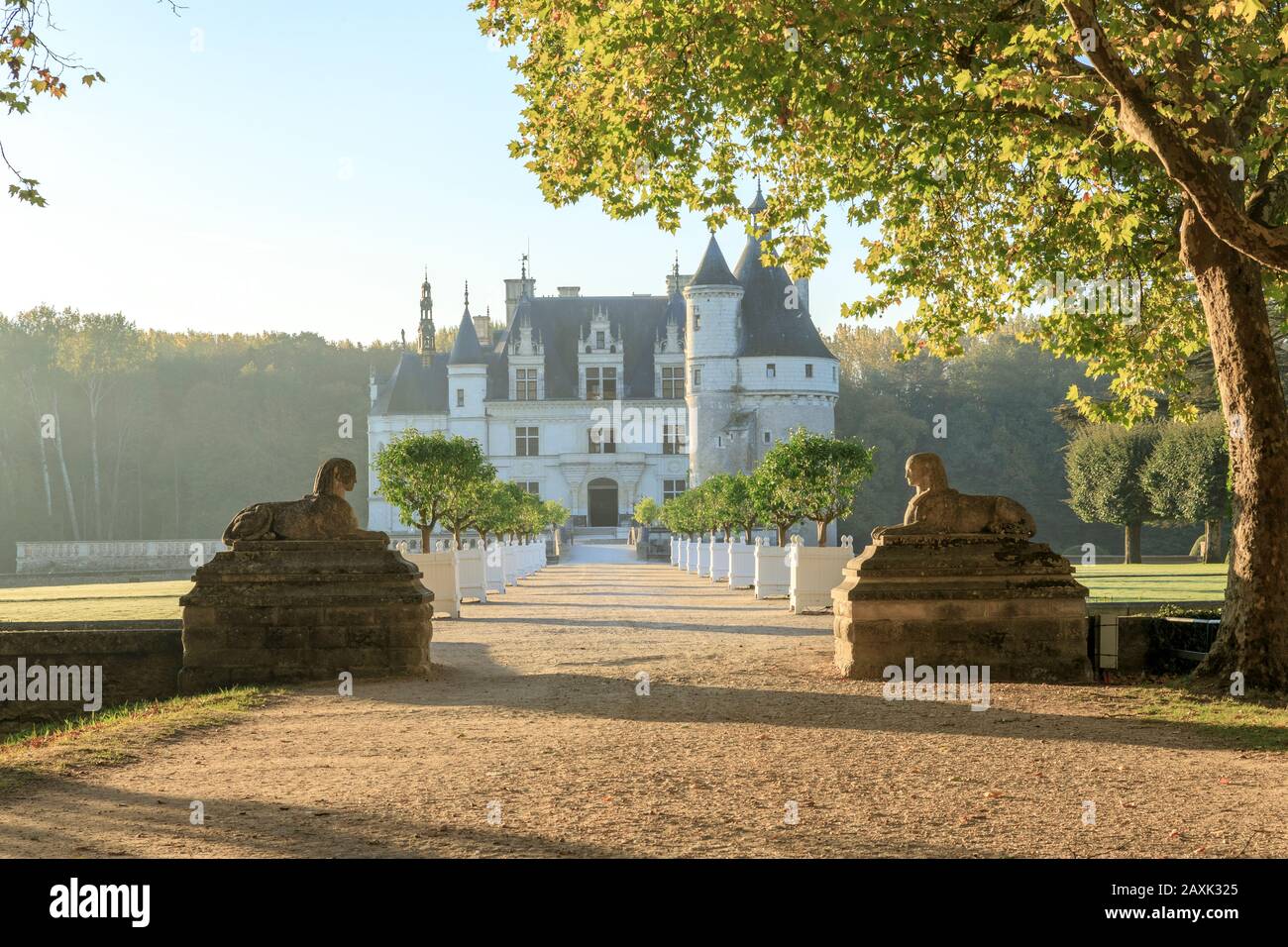 Francia, Indre et Loire, Valle della Loira dichiarata Patrimonio Mondiale dall'UNESCO, Chenonceaux, Chateau de Chenonceau Parco e Giardini, ingresso al cortile Foto Stock