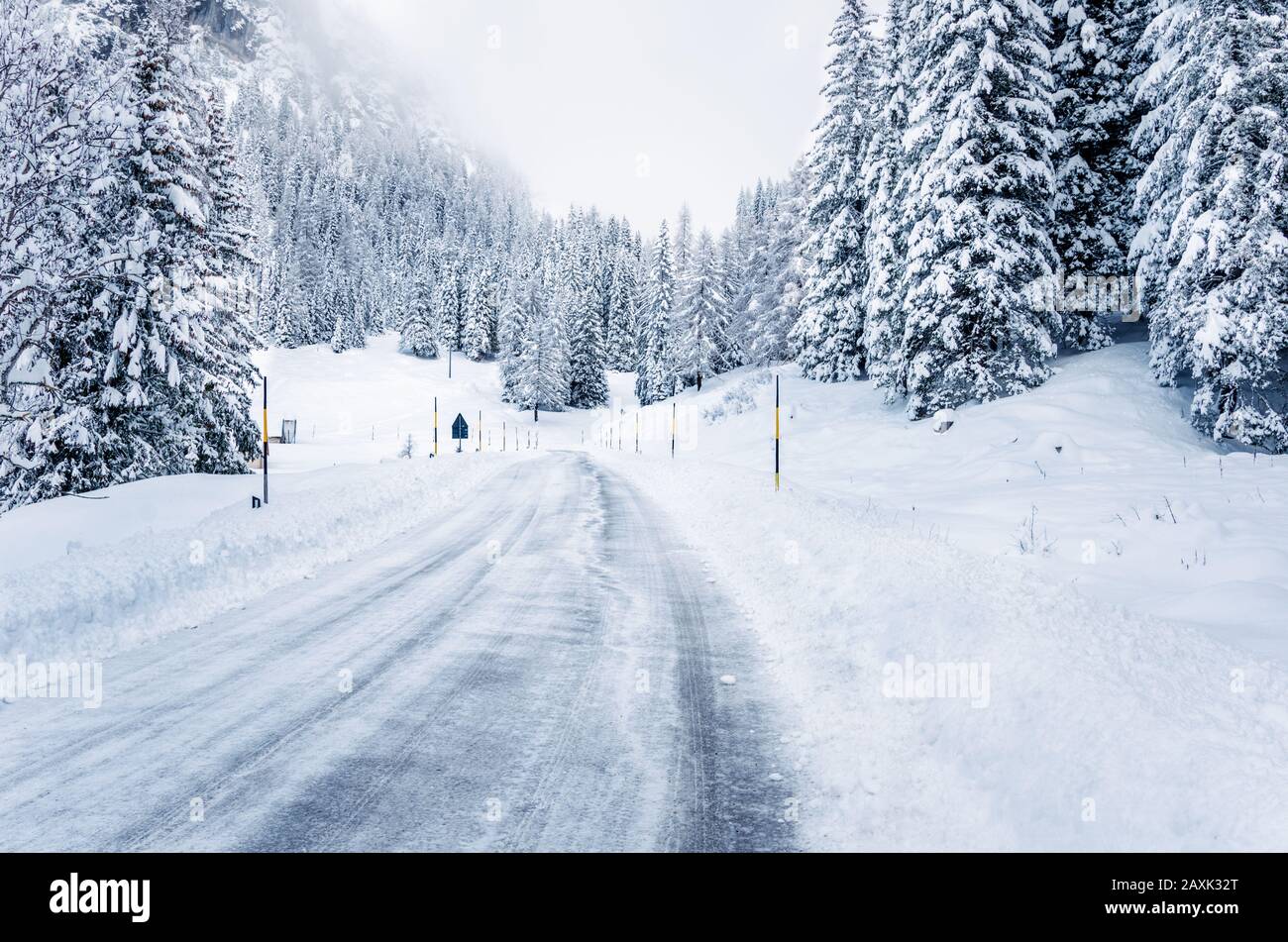 Strada ghiacciata attraverso una foresta innevata in montagna in una nebbiosa giornata invernale Foto Stock