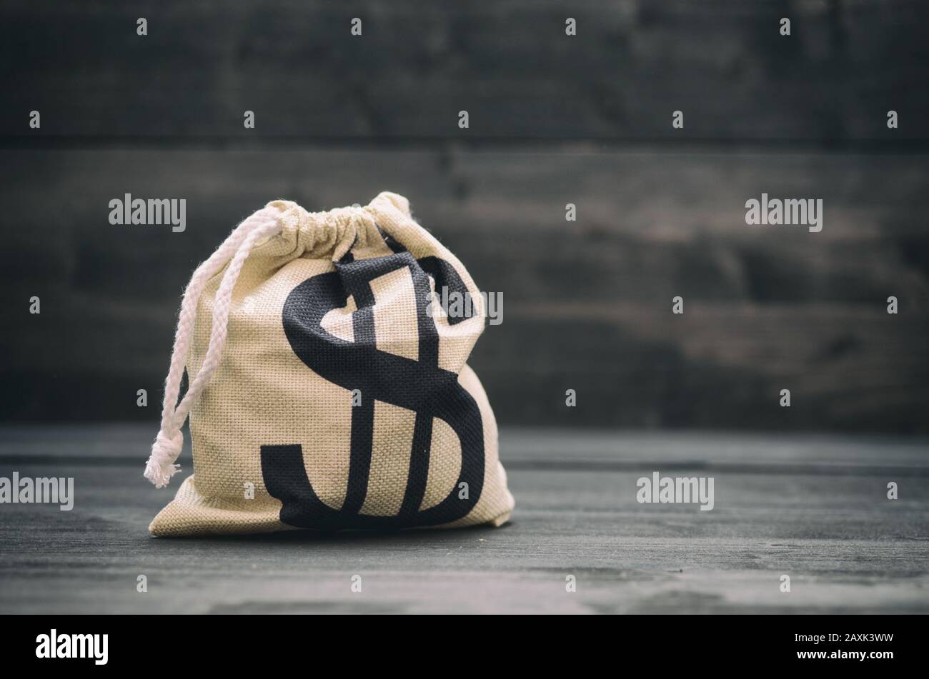 Dollar denaro sacchetto, concetto di denaro stock photo Foto Stock