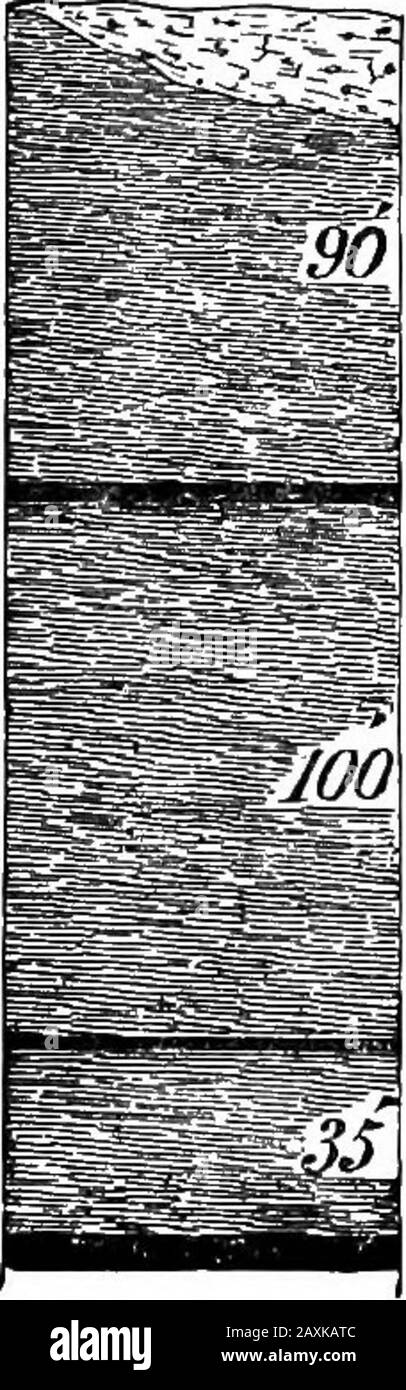 Rapporto di progresso 1874-1889, A-Z .. . prezioso. Si trova circa quaranta piedi sopra il Ferriferouscalcari. I letti Brookville e Clarion Coal si trovano vicino al livello dell'acqua nella parte nord del comune, sulla Scivolosa Rockcreek, dove sono stati aperti da MR.Burnet, che ha gentilmente fornito la seguente sezione (mostrata in Fig. 94) whichcompiled sulla riva sud del torrente:Burnet sezione sud. Terra e ardesia, 60 carbone, 3 ardesia, 90 carbone, 310 ardesia, 120 carbone, 2 ardesia, 32 carbone, 310 il carbone più basso della sezione di cui sopra è stato aperto. ITIS abbastanza libero da zolfo, e molto più pulito di t. Foto Stock
