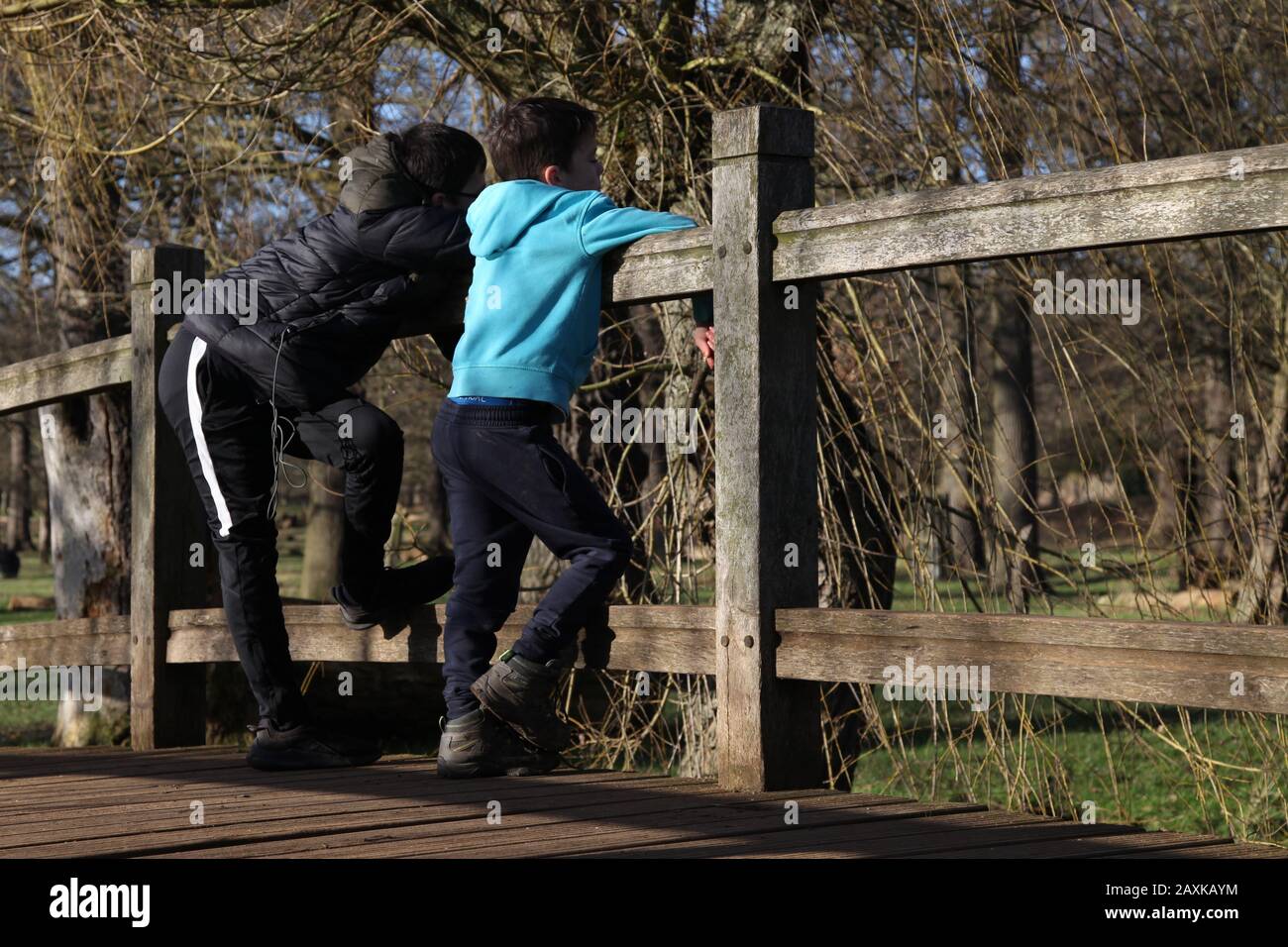 Due ragazzi giocano a pooh sticks sul ponte di legno a Richmond Park, Londra, febbraio 2020 Foto Stock