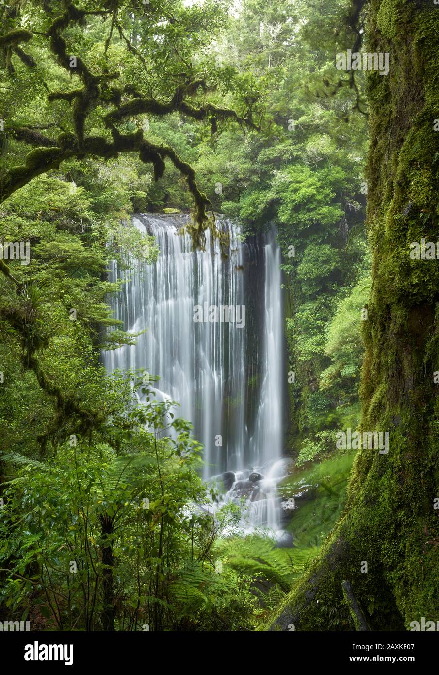 Cascate Di Korokoro, Te Urewera National Park, Hawke'S Bay, North Island, Nuova Zelanda, Oceania Foto Stock