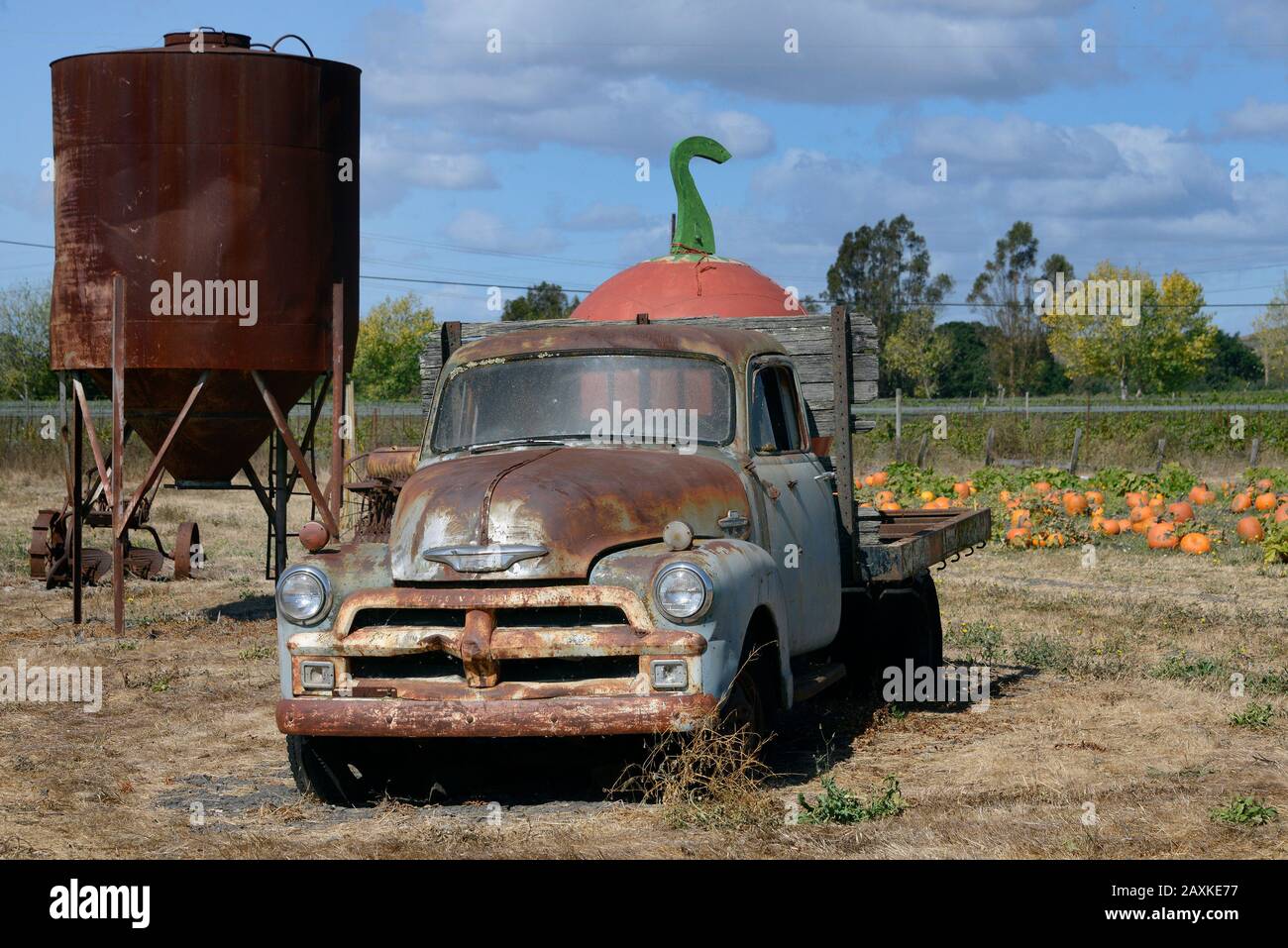 Old Chevrolet pick-up camion e attrezzature agricole su un campo di zucca in Sonoma County, California, Stati Uniti Foto Stock