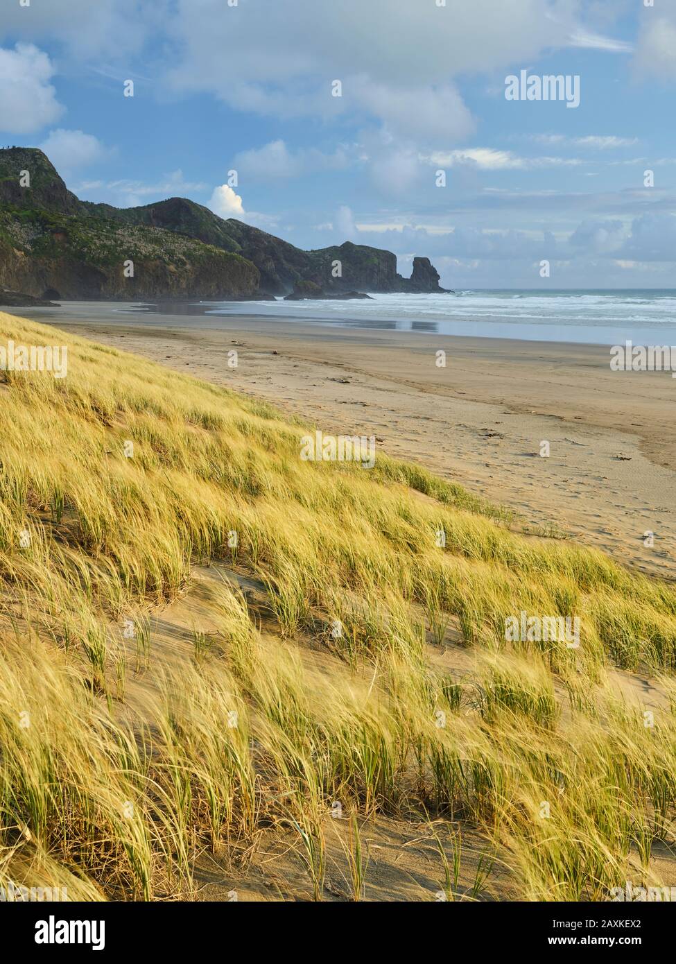 Bethells Beach, Auckland, Isola del nord, Nuova Zelanda Foto Stock