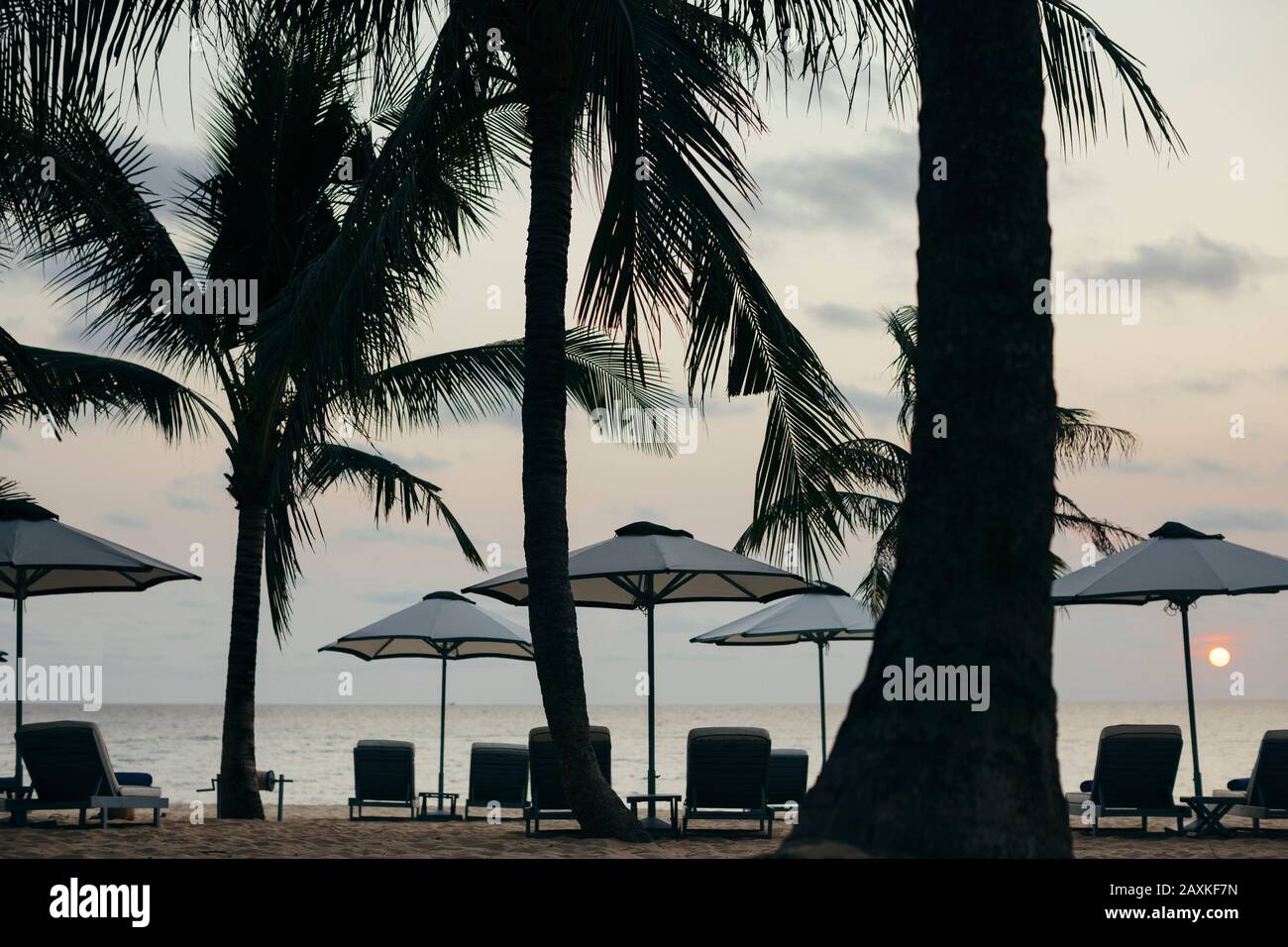 Ombrelloni da spiaggia in un resort di lusso su un'isola tropicale al tramonto. Foto Stock