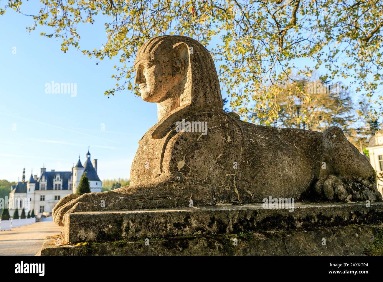 Francia, Indre et Loire, Valle della Loira elencati come Patrimonio Mondiale dall'UNESCO, Chenonceaux, Chateau de Chenonceau Parco e Giardini, scultura di sfinge presso il Foto Stock