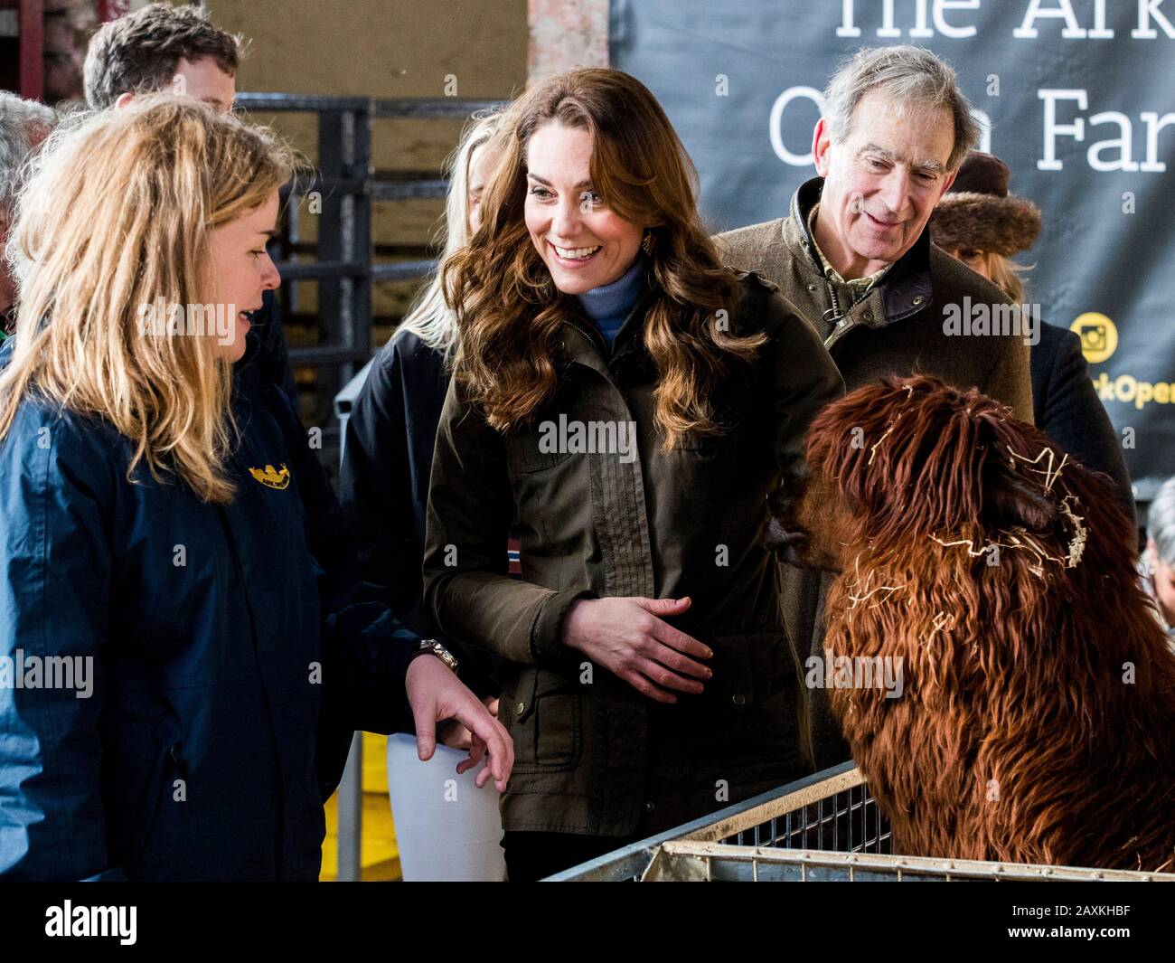 La duchessa di Cambridge fa un tratto di alpaca durante una visita all'Ark Open Farm, a Newtownards, nei pressi di Belfast, dove ha incontrato genitori e nonni per discutere le loro esperienze di allevare i bambini piccoli per il suo sondaggio sulla Infanzia Missionaria. Foto PA. Data Immagine: Mercoledì 12 Febbraio 2020. Vedi la storia di PA ROYAL Kate. Photo credit dovrebbe leggere: Liam McBurney / PA Filo Foto Stock