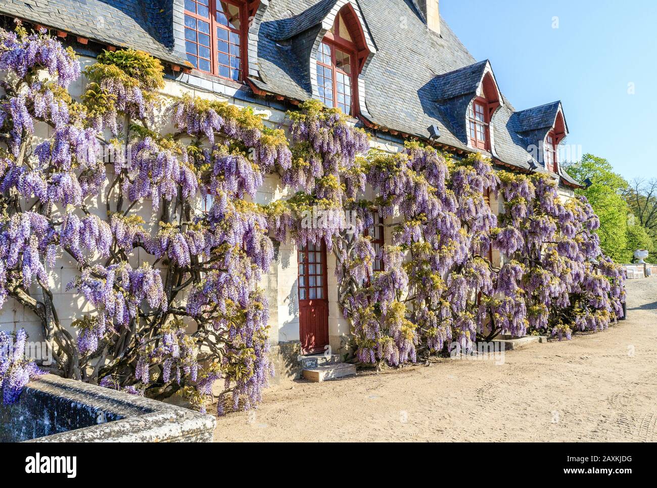 Francia, Indre et Loire, Valle della Loira dichiarata Patrimonio dell'Umanità dall'UNESCO, Chenonceaux, Chateau de Chenonceau Parco e Giardini, la Cancelleria, facciata Foto Stock