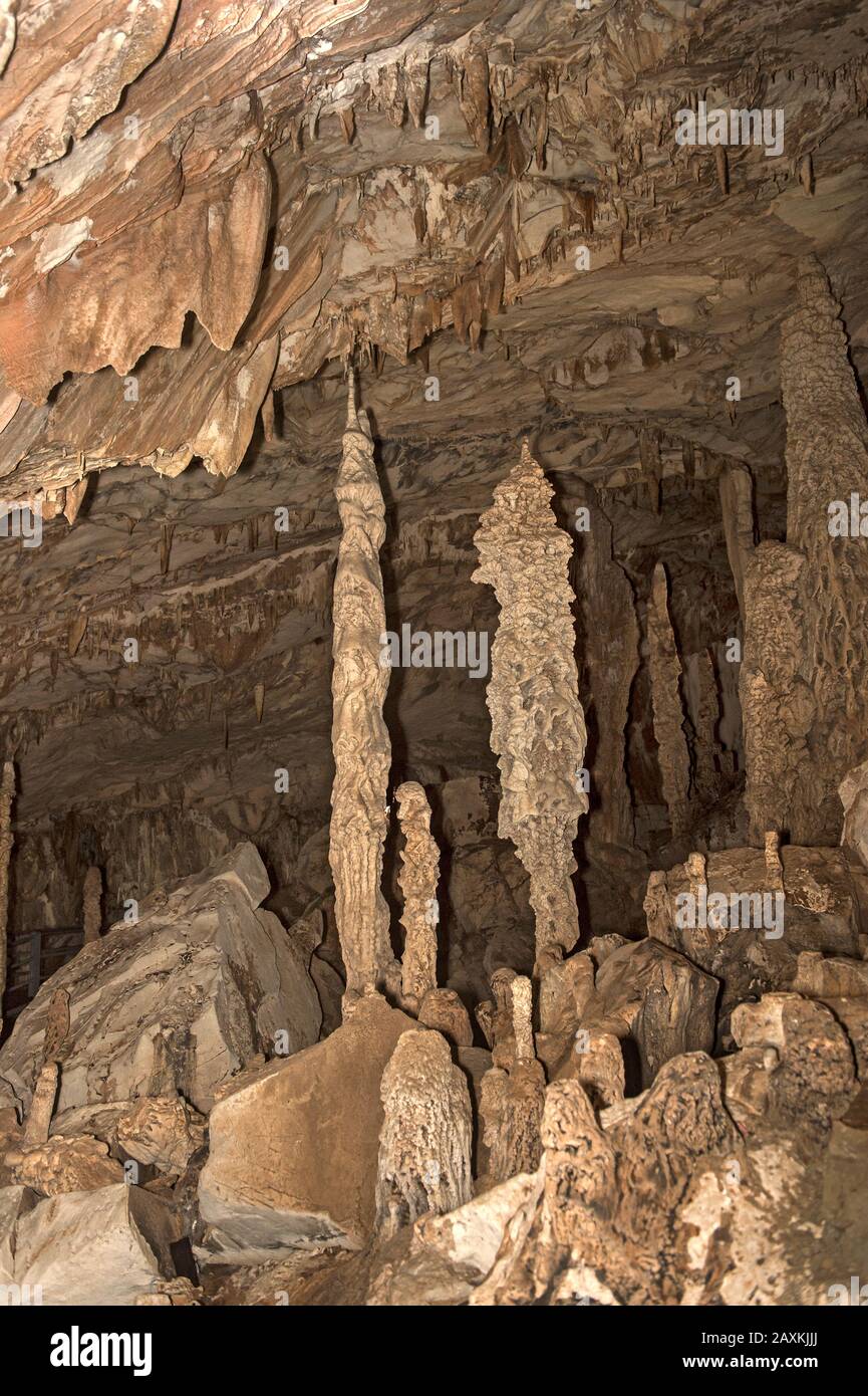 Stalagmiti, stalattiti e stalagiti, colonne in pietra goccia nella camera del Re della Grotta del Vento, Gunung Mulu Nationalpark, Sarawak, Borneo, Malesia Foto Stock