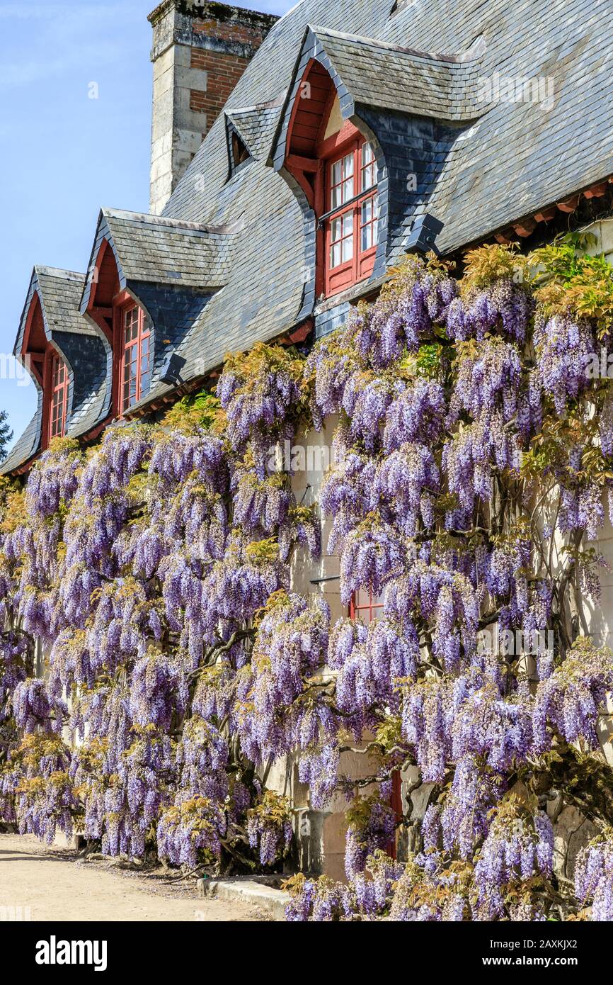 Francia, Indre et Loire, Valle della Loira dichiarata Patrimonio dell'Umanità dall'UNESCO, Chenonceaux, Chateau de Chenonceau Parco e Giardini, la Cancelleria, facciata Foto Stock