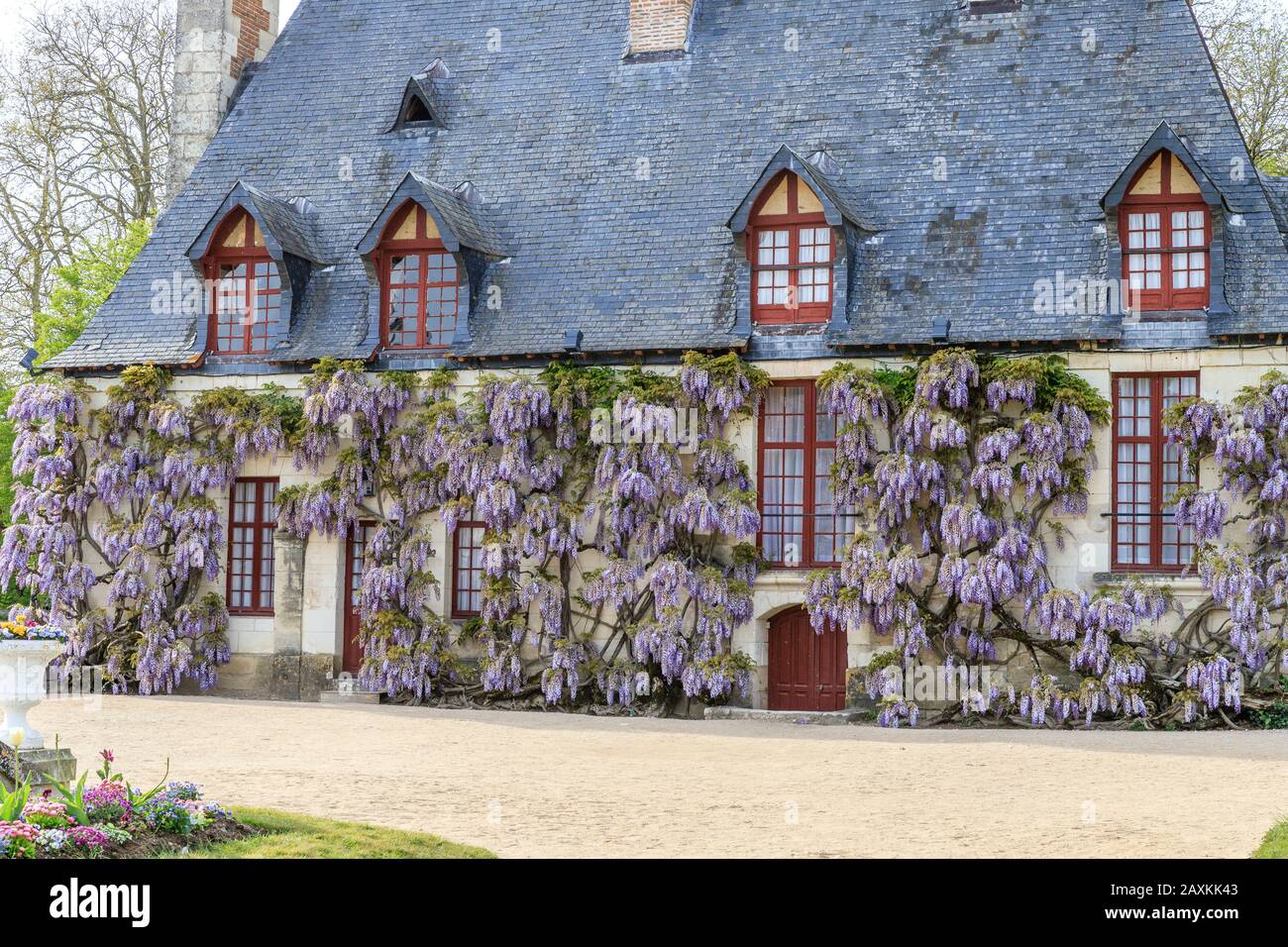 Francia, Indre et Loire, Valle della Loira dichiarata Patrimonio dell'Umanità dall'UNESCO, Chenonceaux, Chateau de Chenonceau Parco e Giardini, la Cancelleria, facciata Foto Stock