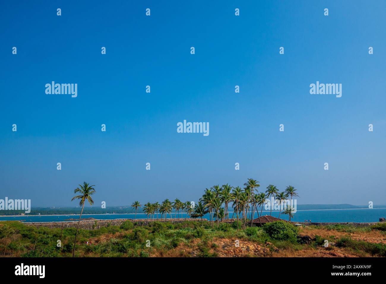 Forte muro di Sindhudurga, albero di cocco e cielo blu. Foto Stock
