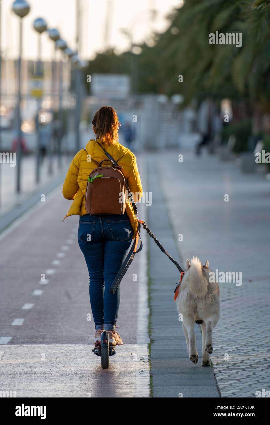 Giovane donna su un e-scooter e un cane su un guinzaglio, sul lungomare di Palma di Maiorca, Spagna Foto Stock