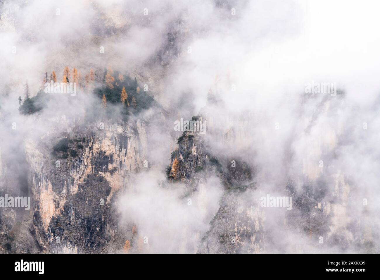 Nebbia che copre alberi colorati sul crinale di montagna in autunno, Passo Gardena, Dolomiti, Alto Adige, Italia Foto Stock