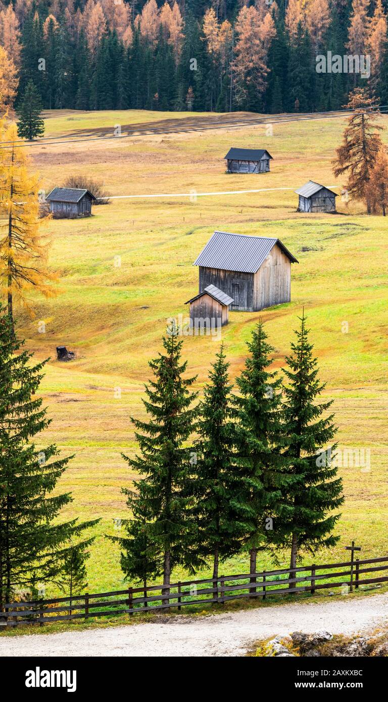 Capanne tradizionali circondate da boschi colorati in autunno, Colfosco, Val Badia, Dolomiti, Alto Adige, Italia Foto Stock