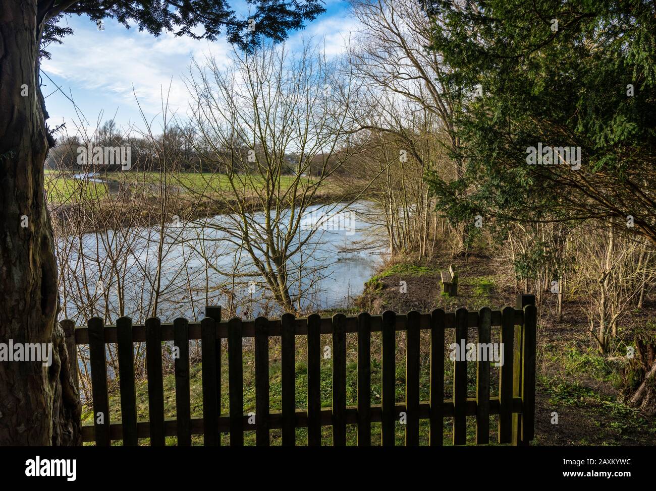 Il fiume Nene che scorre attraverso boschi vicino Peterborough, Cambridgeshire, il Capodanno, 2019 Foto Stock