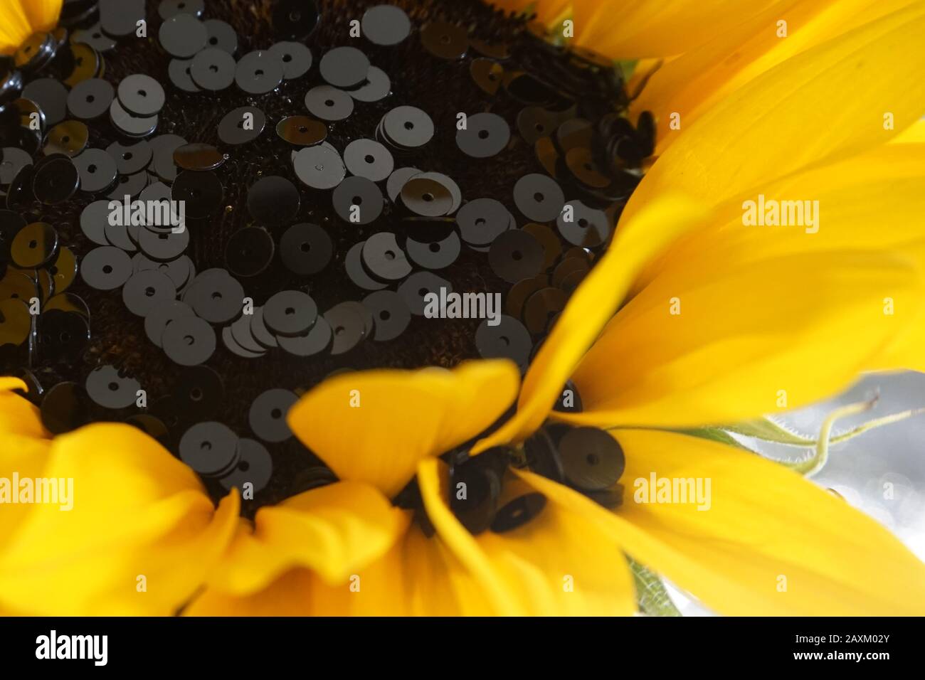 Dettaglio di fiori di sole e paillettes nere. Sequine disposte come i semi del girasole. Concetto astratto di natura e artigianato. Foto Stock