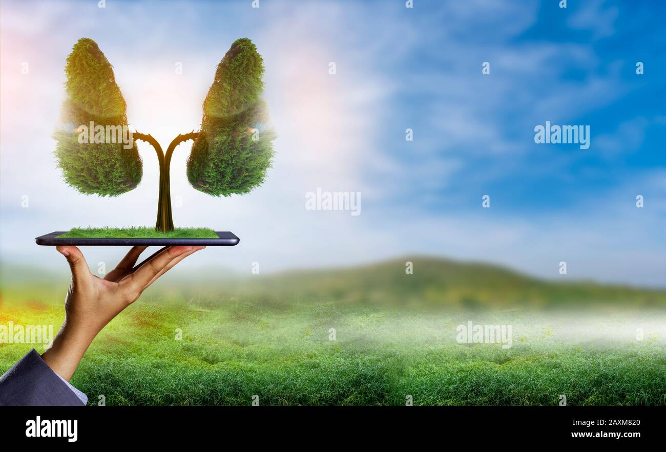 Illustrazione dell'albero polmonare (ambiente e medicina) Foto Stock