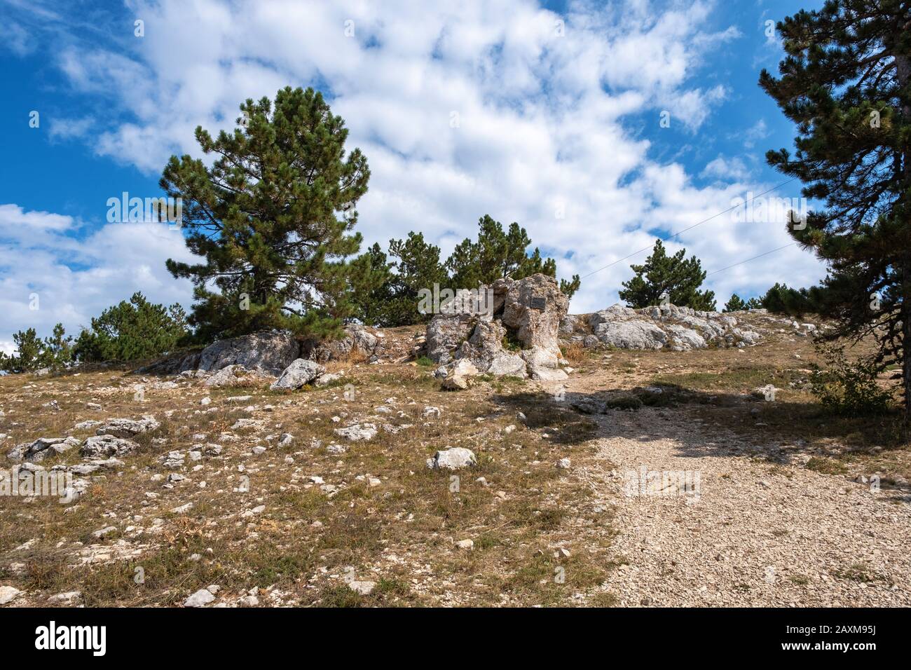 Panorama dell'altopiano di ai-Petri con pini bassi in una giornata di sole nuvoloso, Crimea. Foto Stock