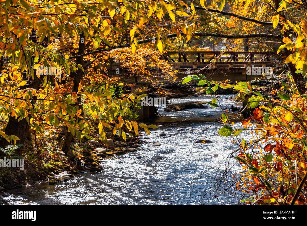 Ponte su un flusso in autunno, sulle montagne del North Carolina Foto Stock