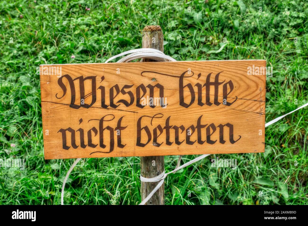 Cartello 'Meadows please do not Enter', Oberstdorf, Allgäu, Bavaria,  Germania Foto stock - Alamy