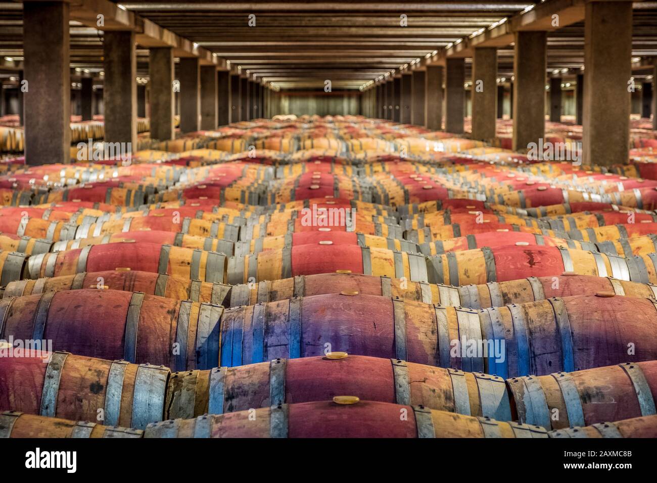 Botti di vino nella cantina della cantina di campo Viejo a Logroño, Spagna Foto Stock