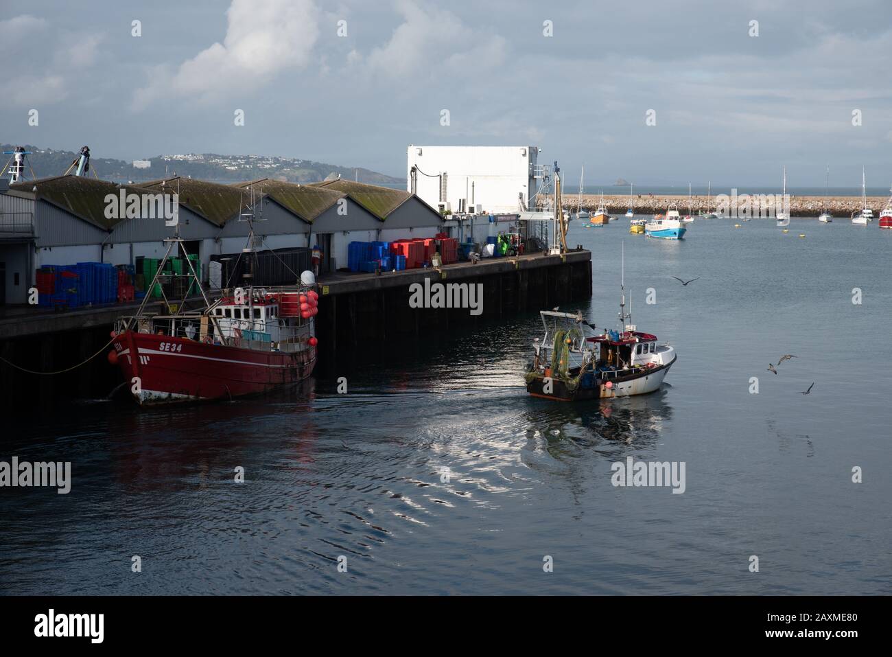 Der Hafen von Brixham ist Großbritanniens größter Fischereifen, Devon, im Südwesten Engeland. // il porto di Brixham è la più grande pesca della Gran Bretagna Foto Stock