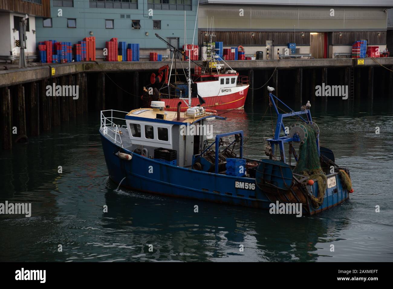 Entladen Eines Trawlers im Hafen von Brixham, Devon, Großbritannien. // scaricare un peschereccio da traino nel porto di Brixham, Devon, Gran Bretagna. // Foto Stock