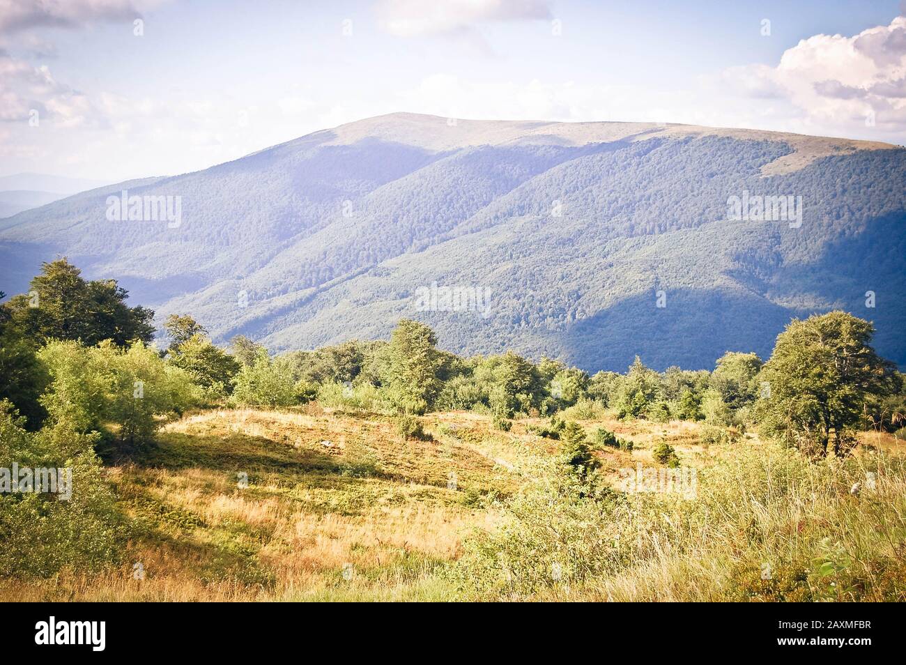 Prato con alberi e pinnacle senza alberi di montagna, filtro Foto Stock